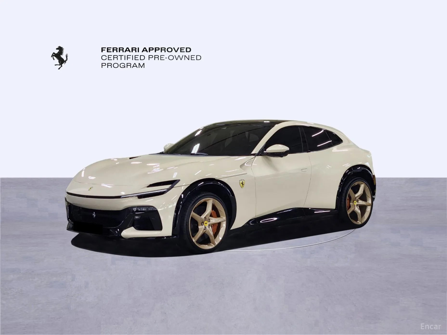 Ferrari Puro Sange превью 10