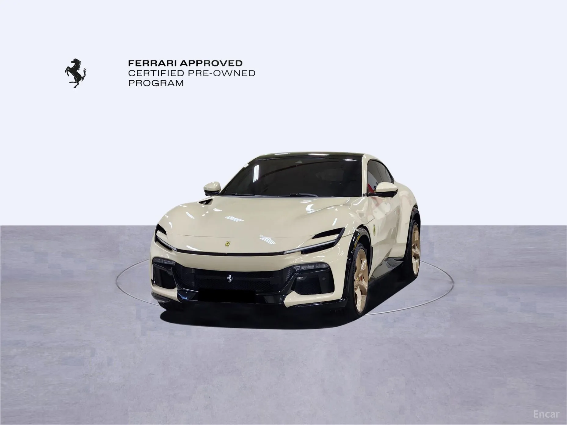 Ferrari Puro Sange превью 11