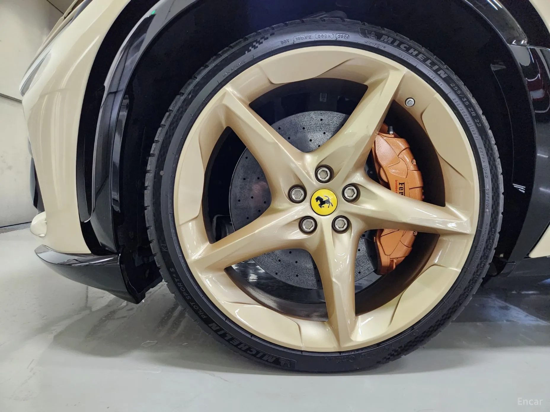 Ferrari Puro Sange превью 20