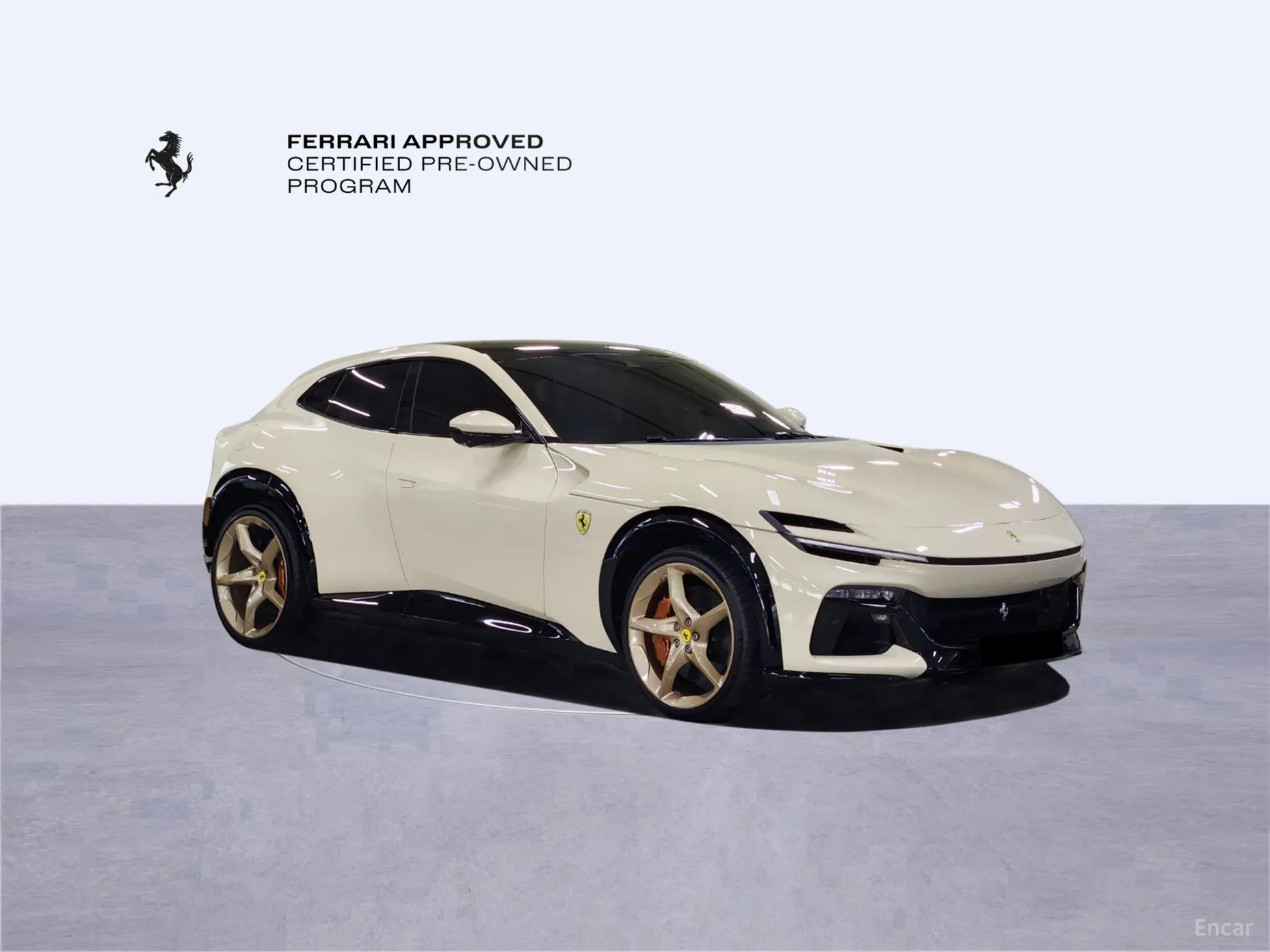 Ferrari Puro Sange превью 4