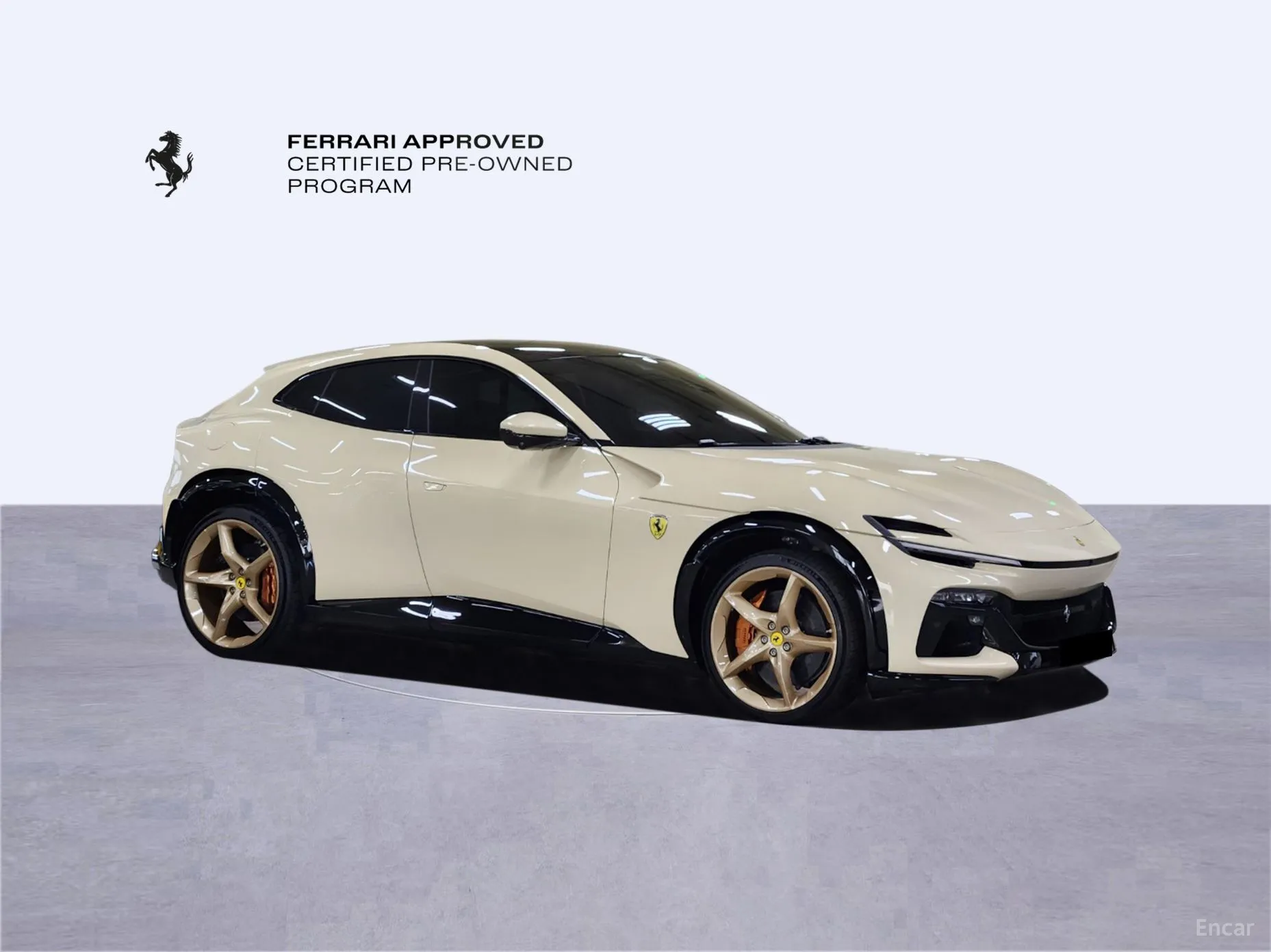 Ferrari Puro Sange превью 5