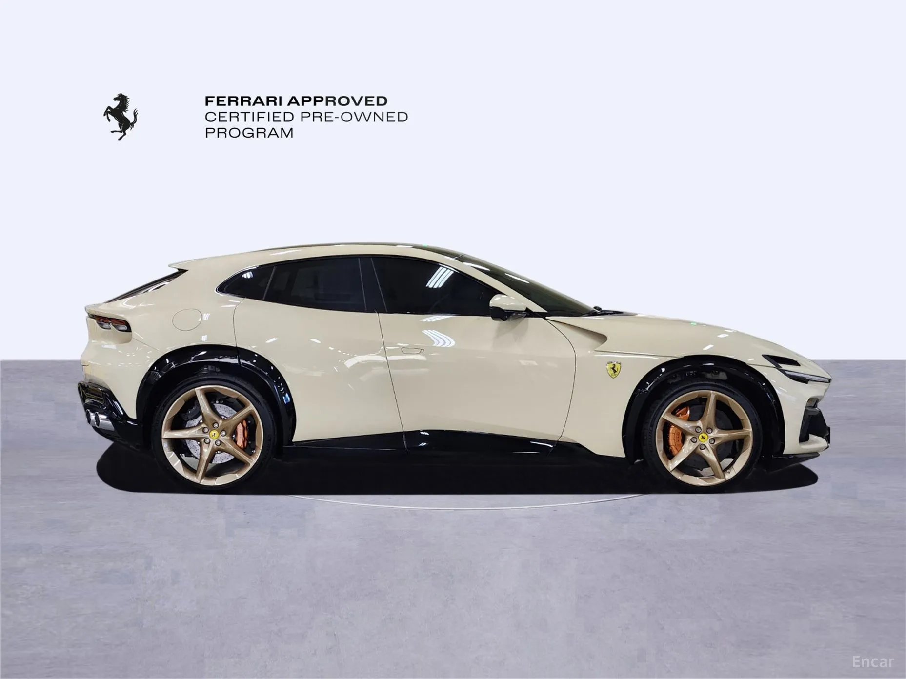 Ferrari Puro Sange превью 6