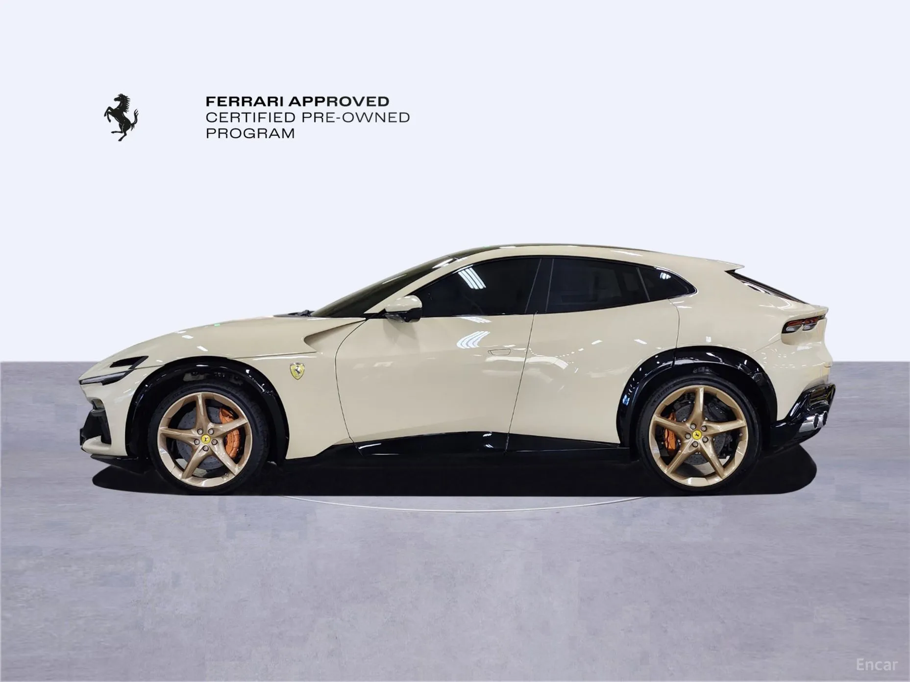 Ferrari Puro Sange превью 8