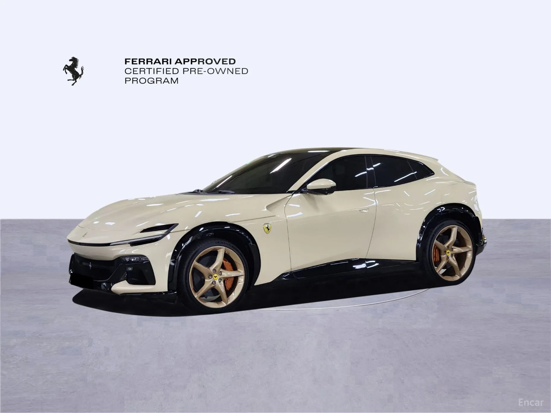 Ferrari Puro Sange превью 9