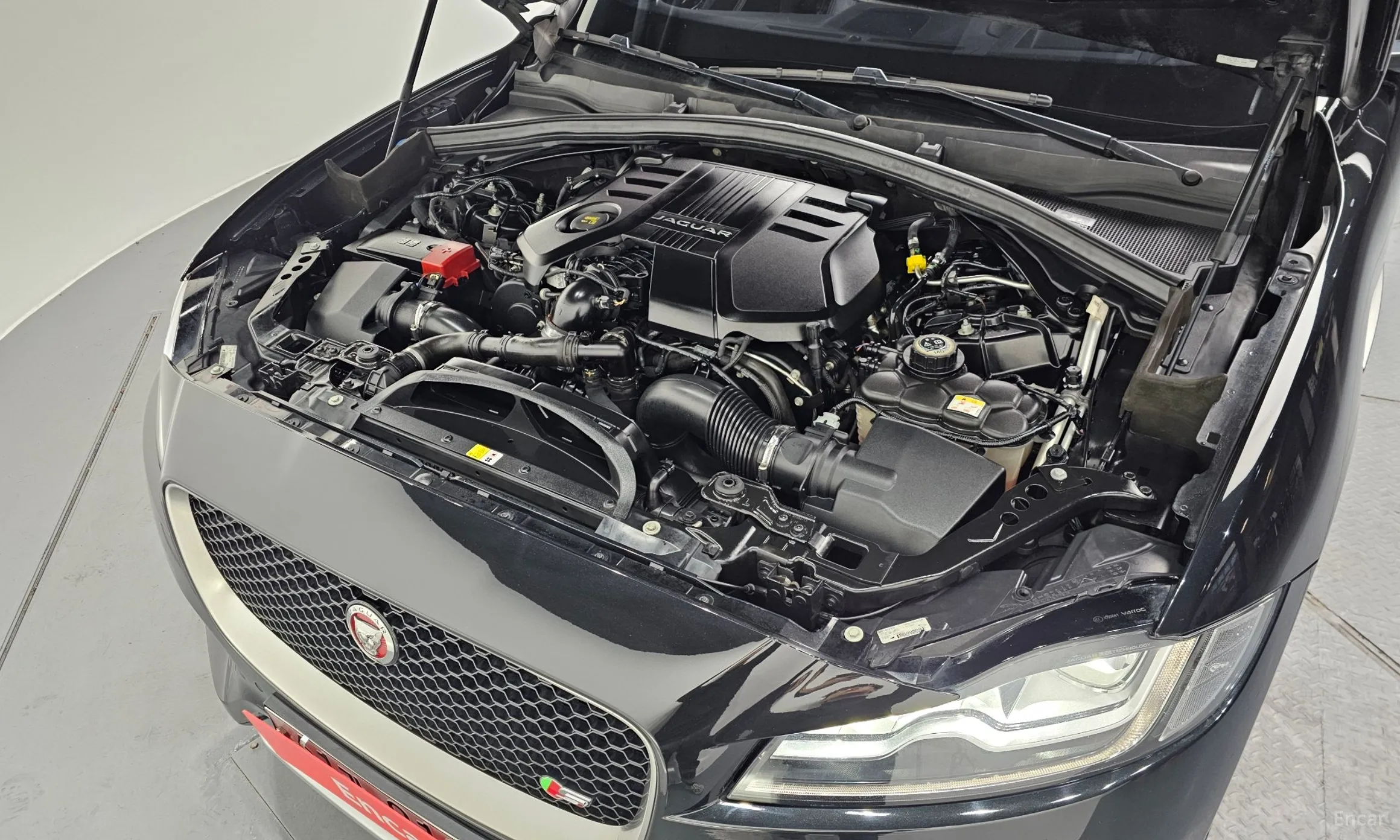 Jaguar F-PACE превью 6