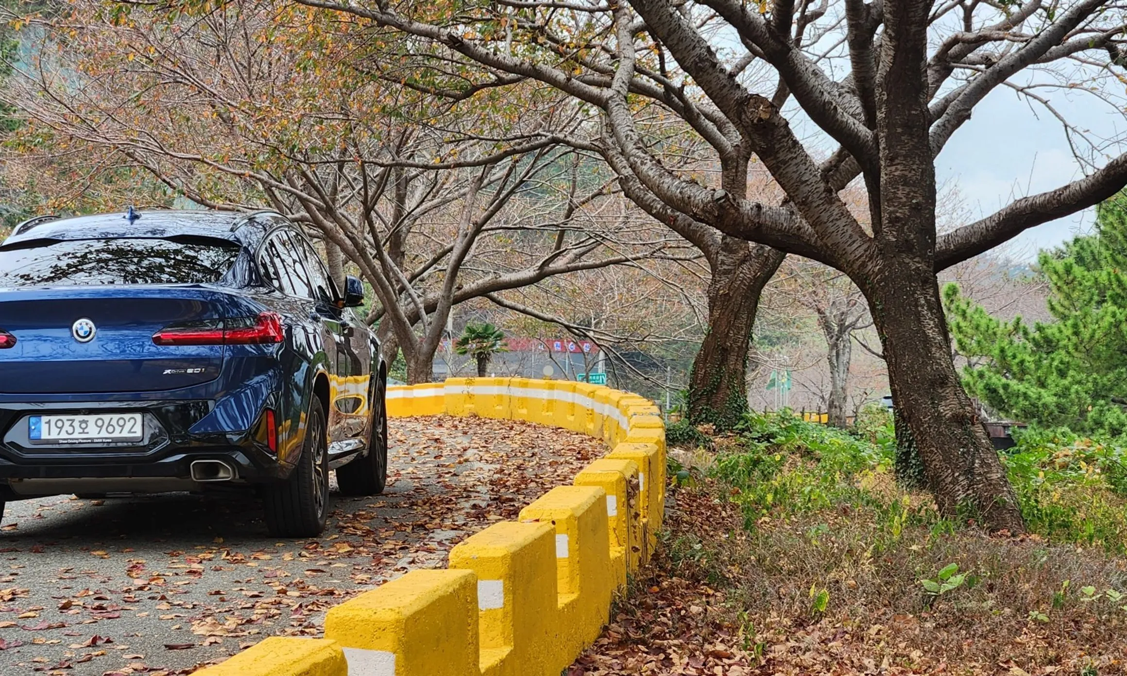 BMW X4 (G02) превью 8