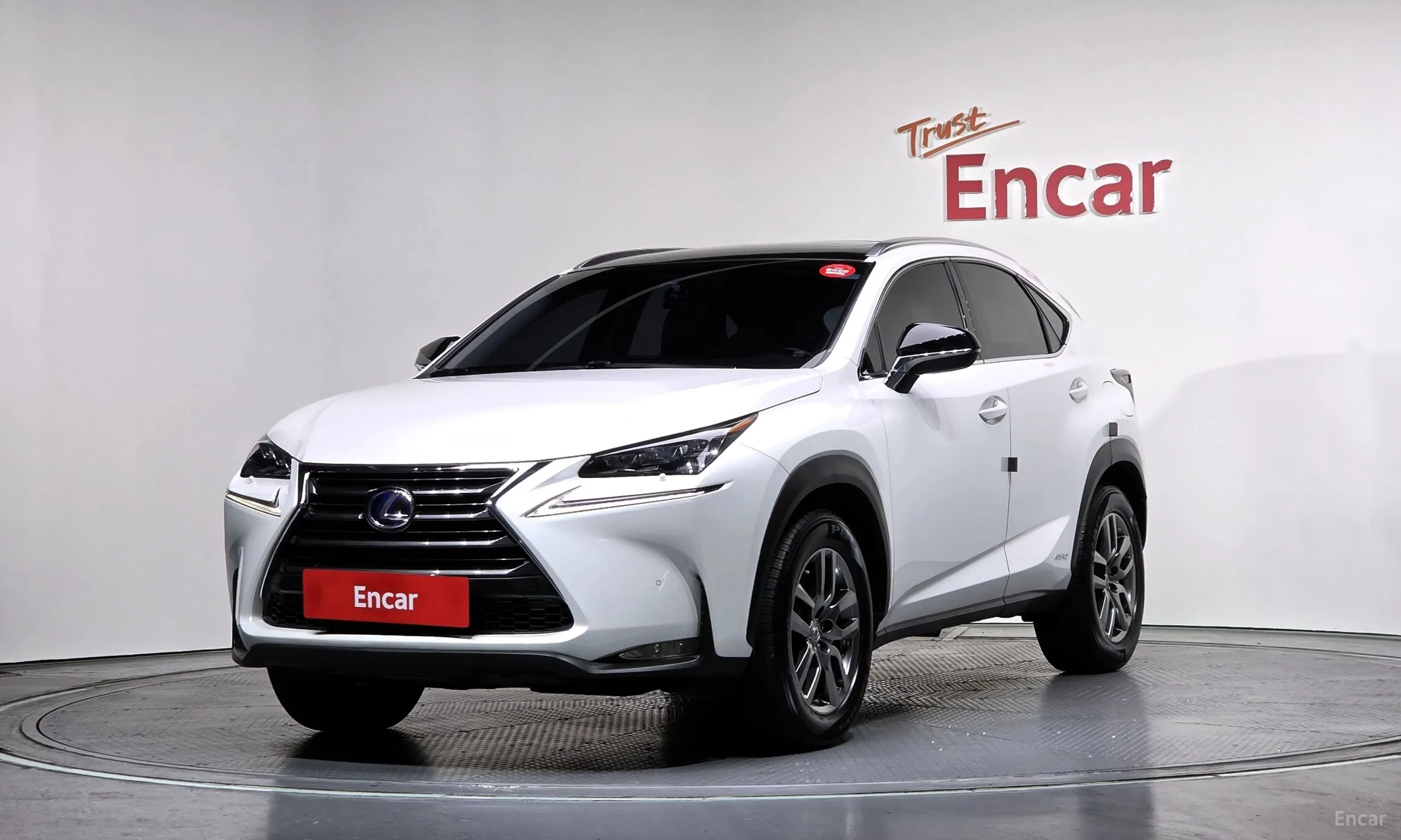 Lexus NX300h