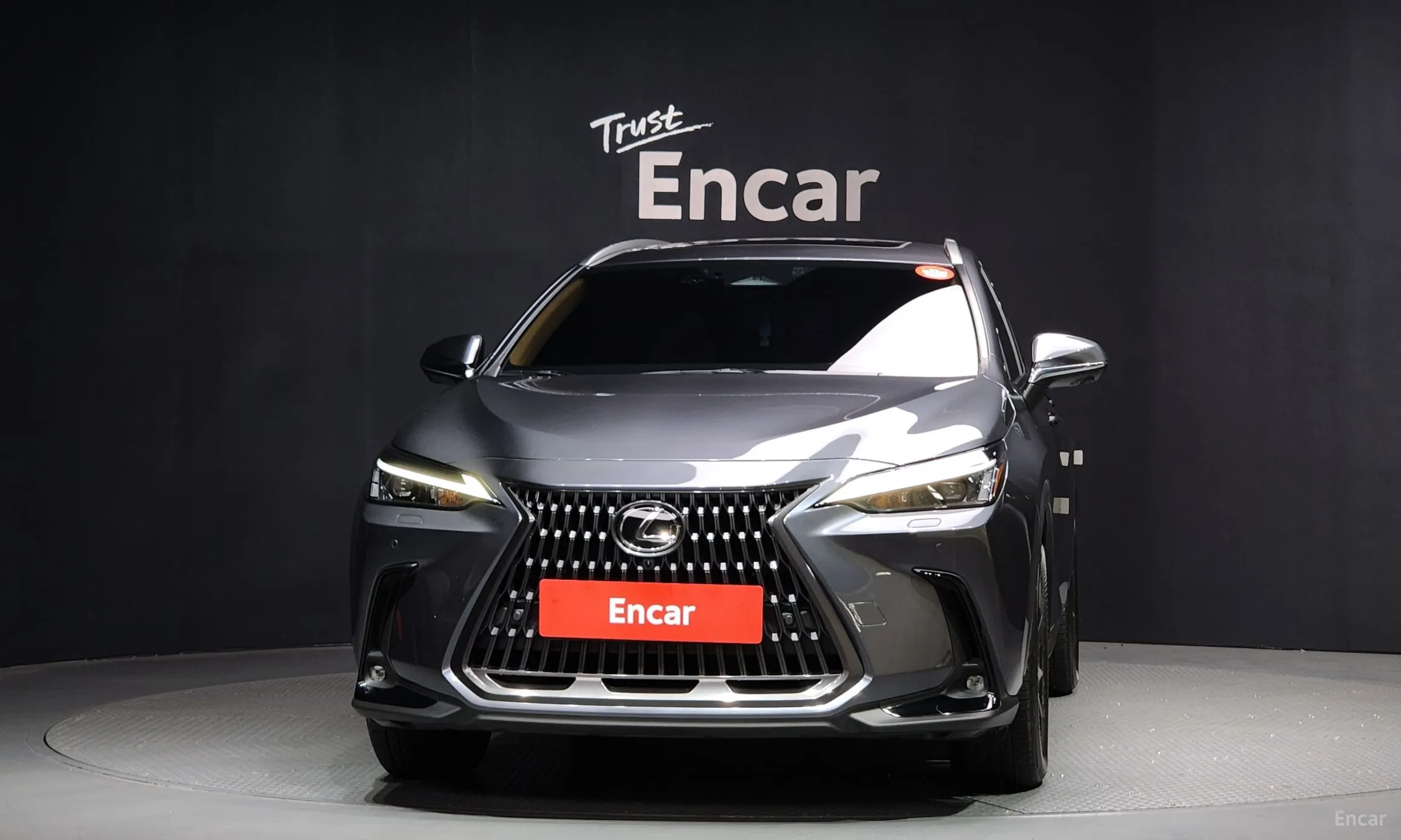 Lexus NX450h + 2nd Gen превью 3