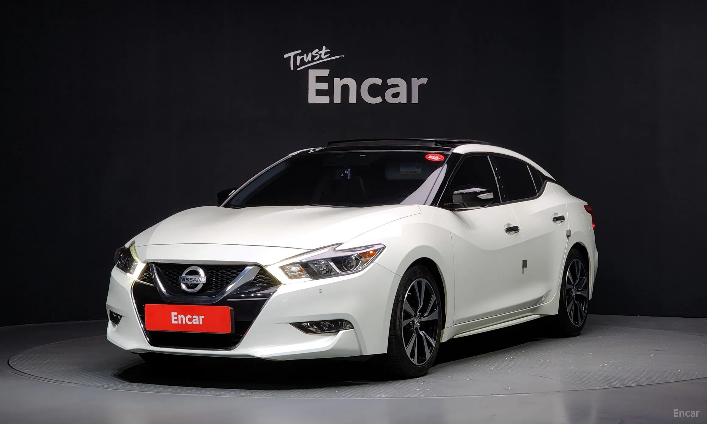 Maxima (A36)