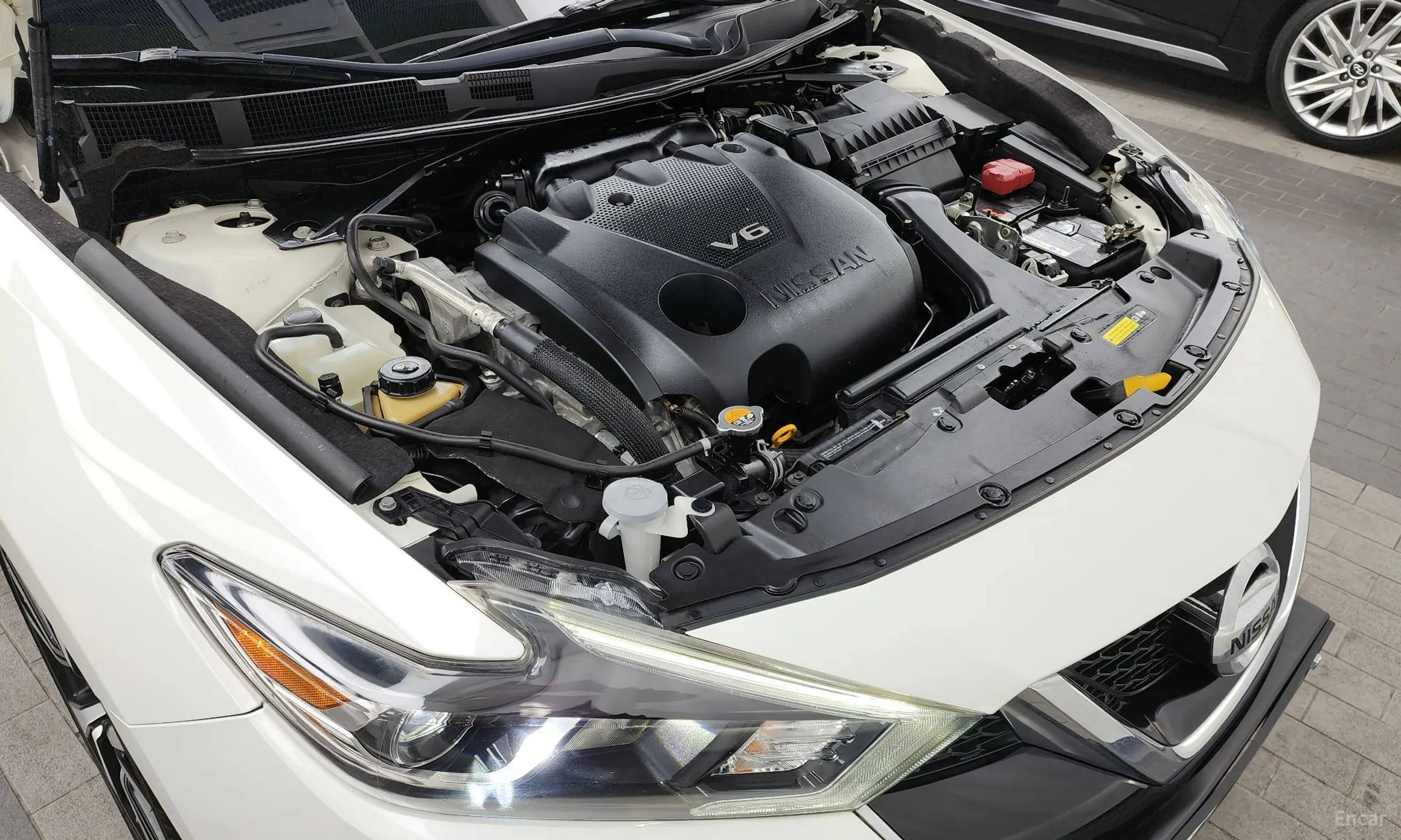 Nissan Maxima (A36) превью 6