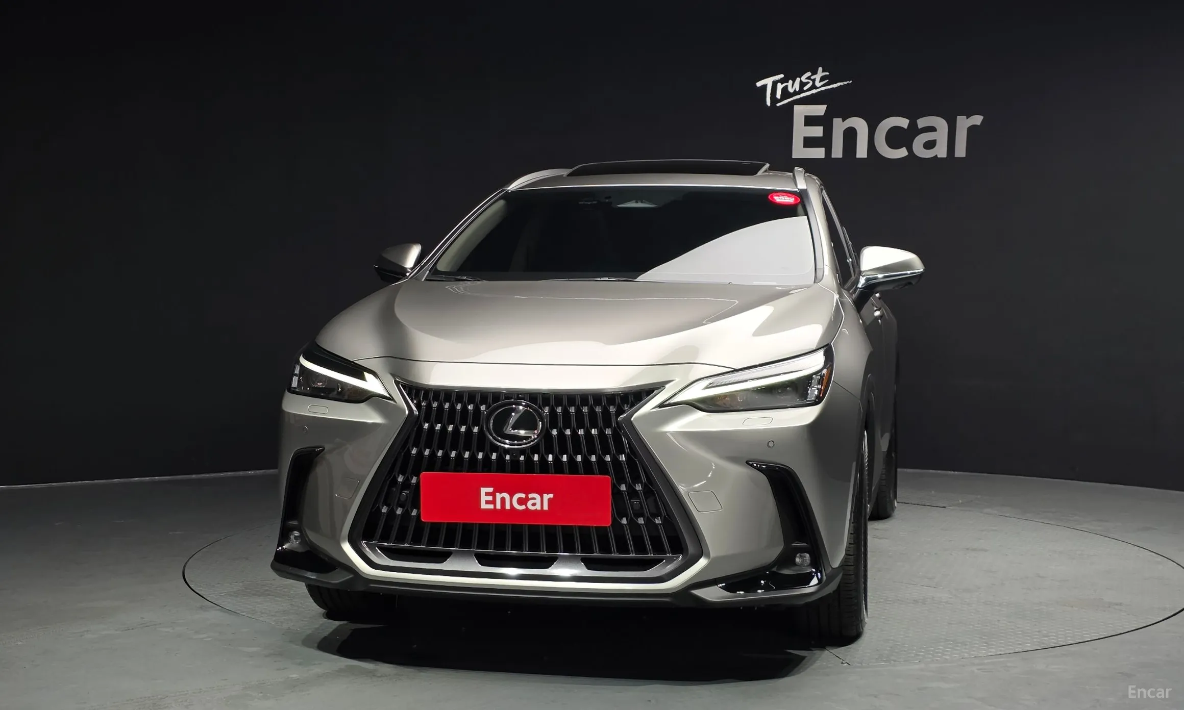 Lexus NX450h + 2nd Gen превью 3
