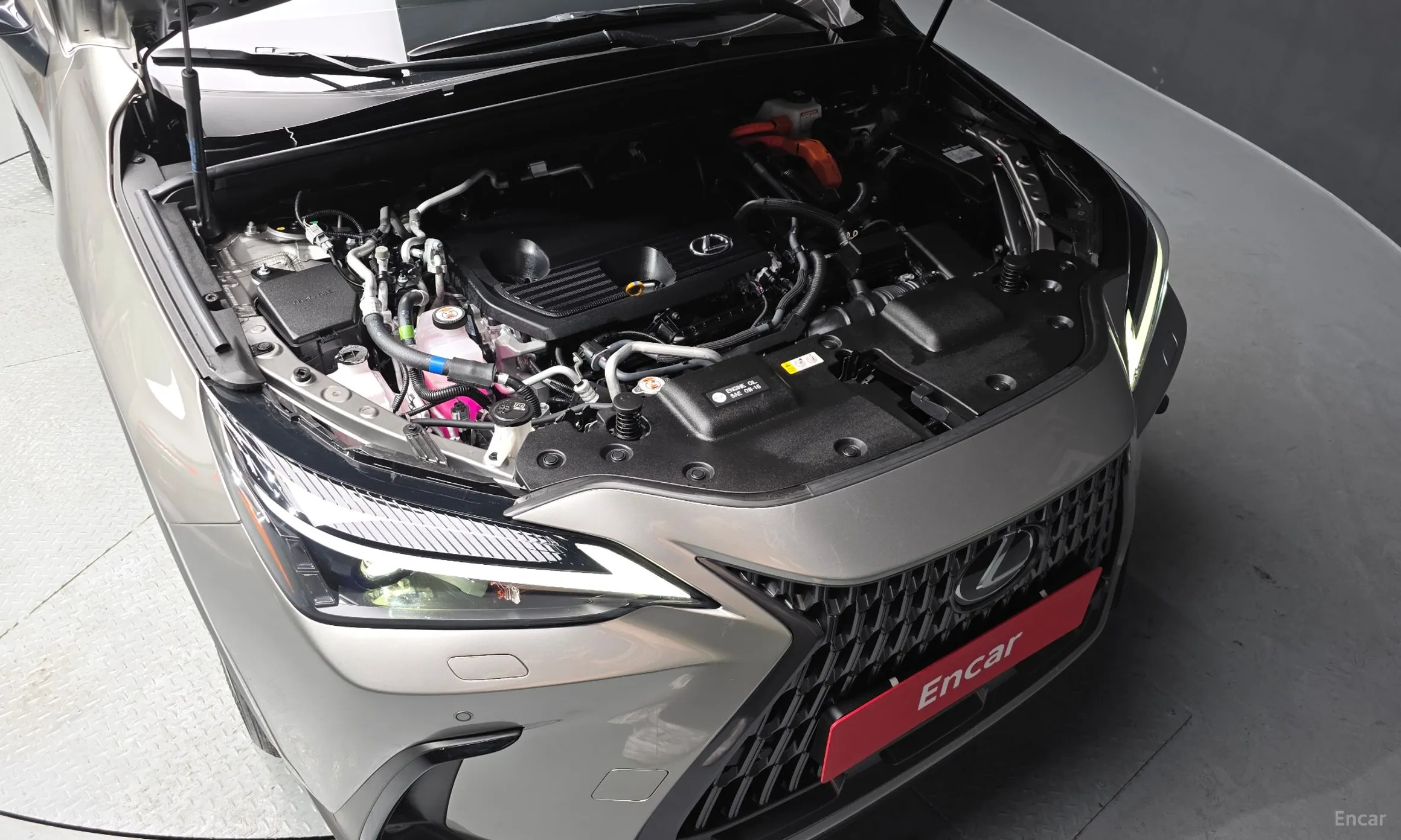 Lexus NX450h + 2nd Gen превью 6