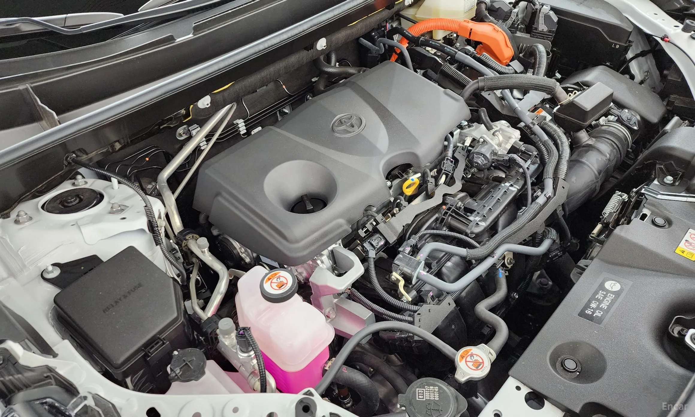 Toyota RAV4 5th Generation превью 6