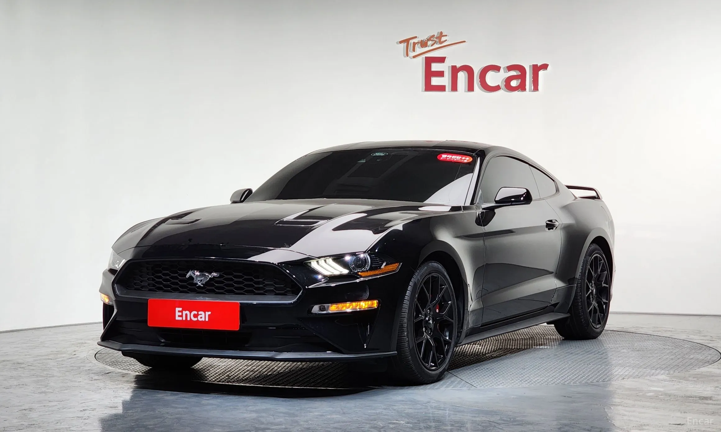 Mustang