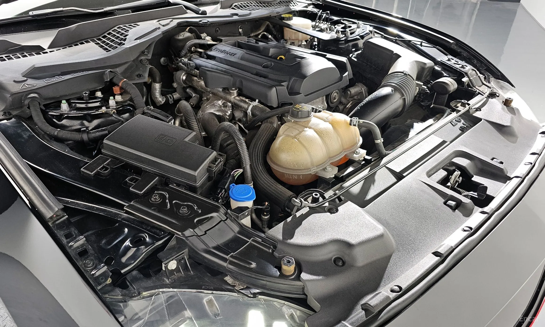 Ford Mustang превью 6