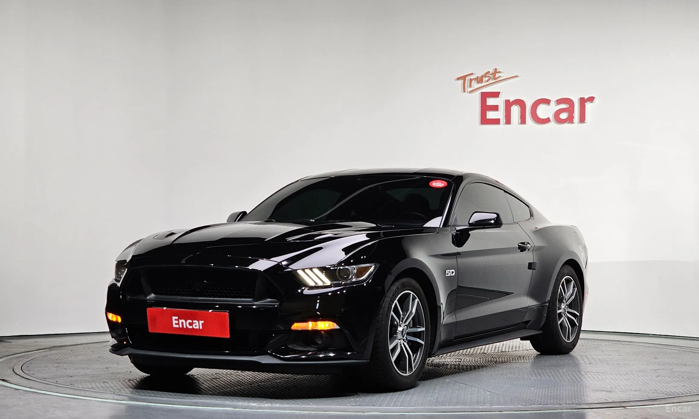 Mustang
