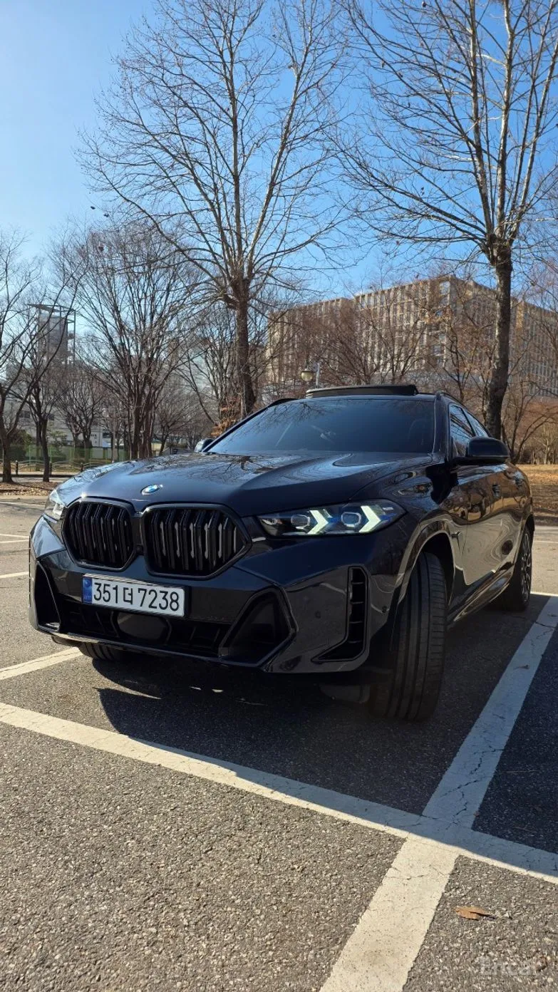BMW X6 (G06)