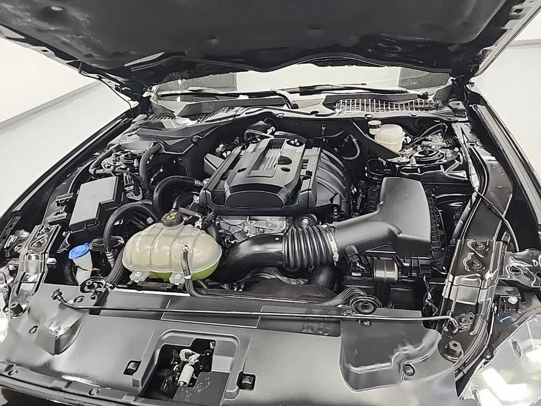 Ford Mustang превью 5