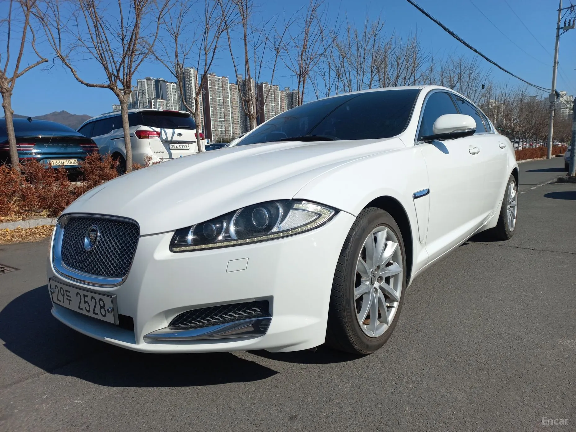 New XF