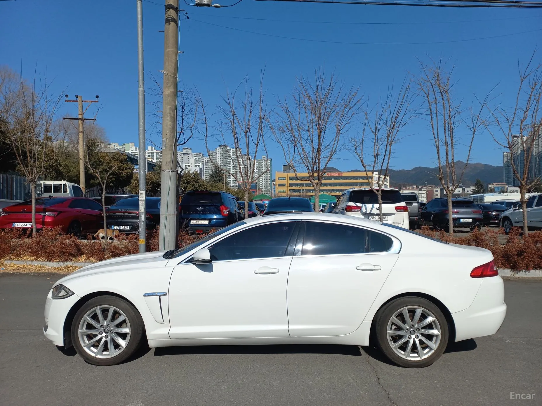 Jaguar New XF превью 8