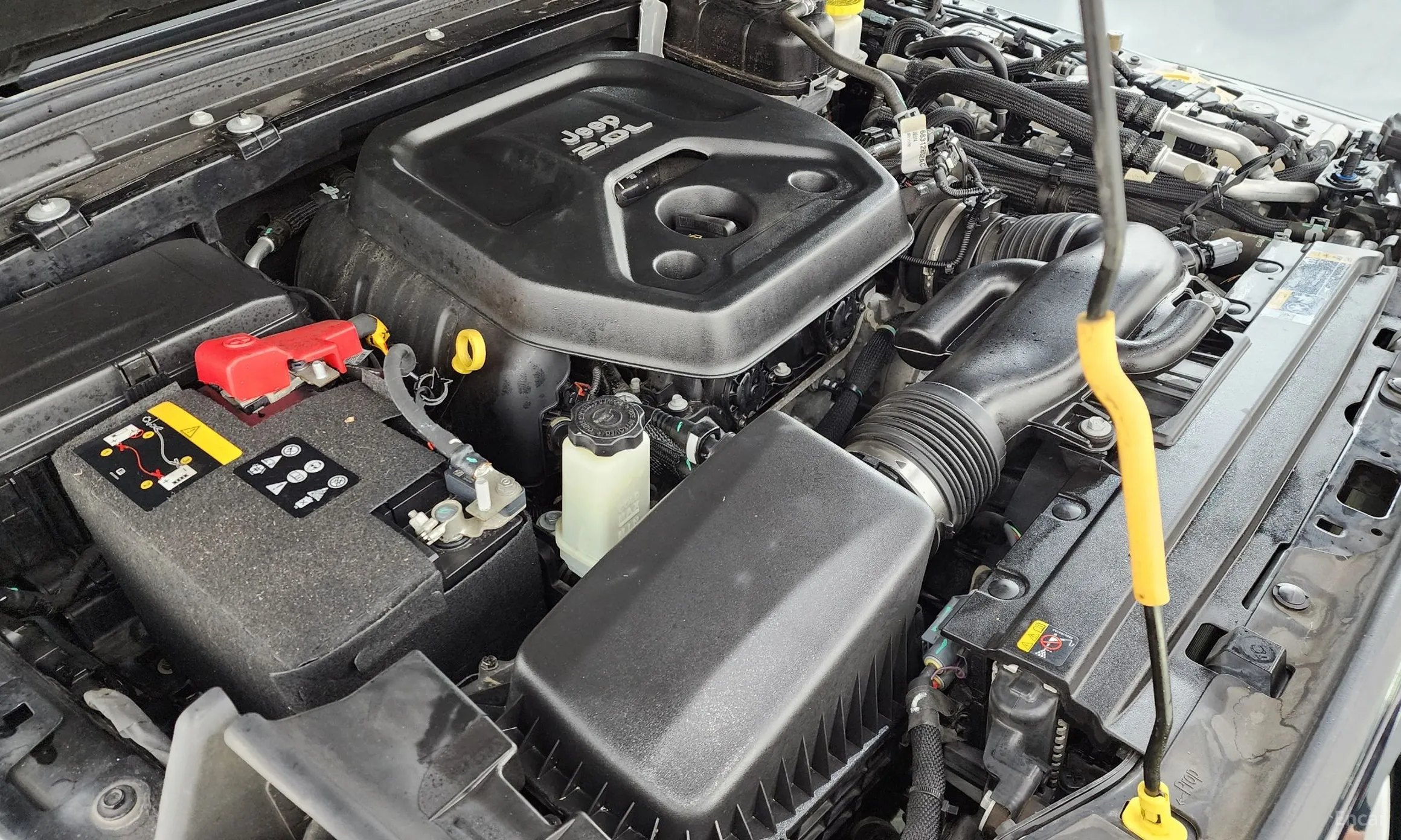 Jeep Wrangler (JL) превью 6
