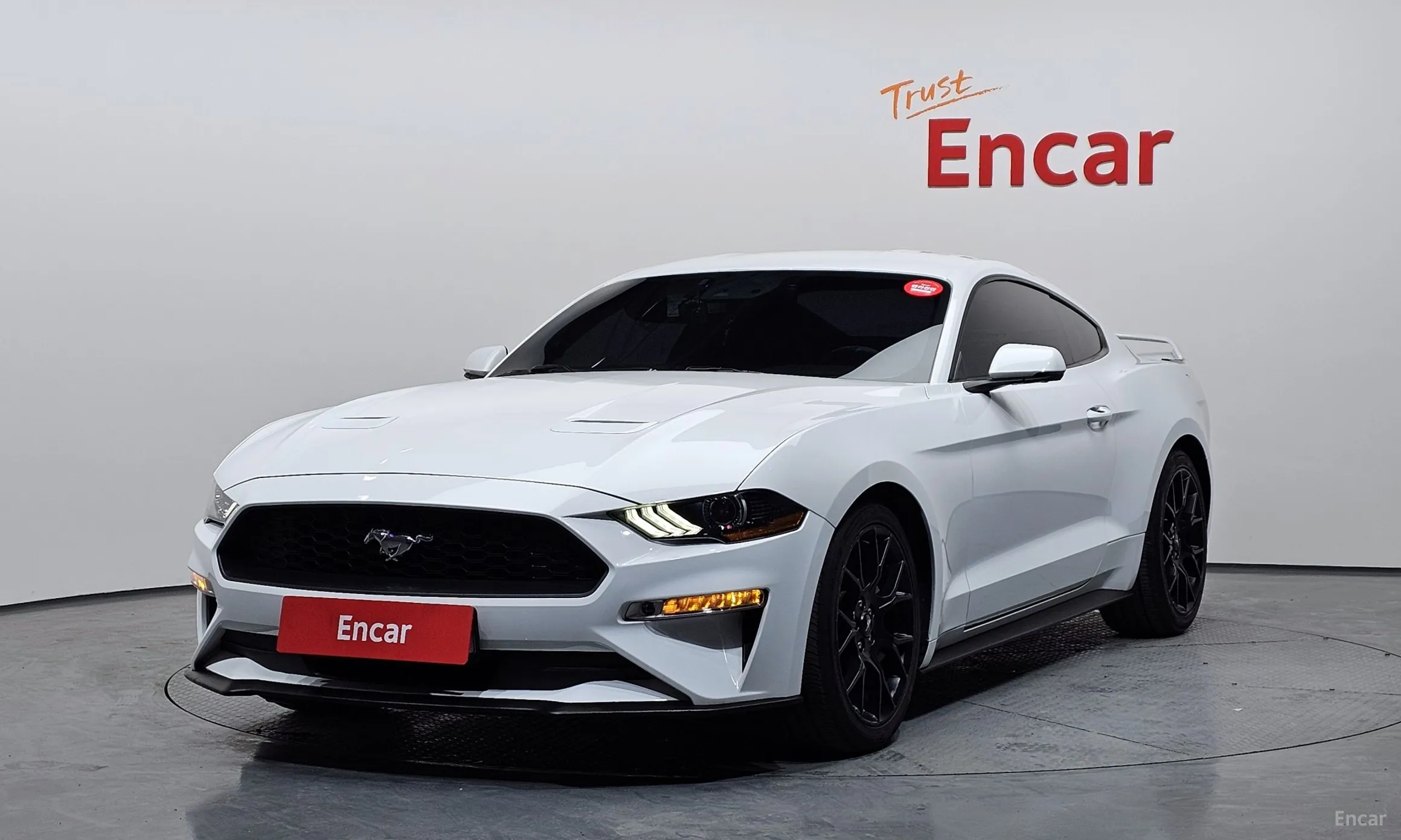 Mustang