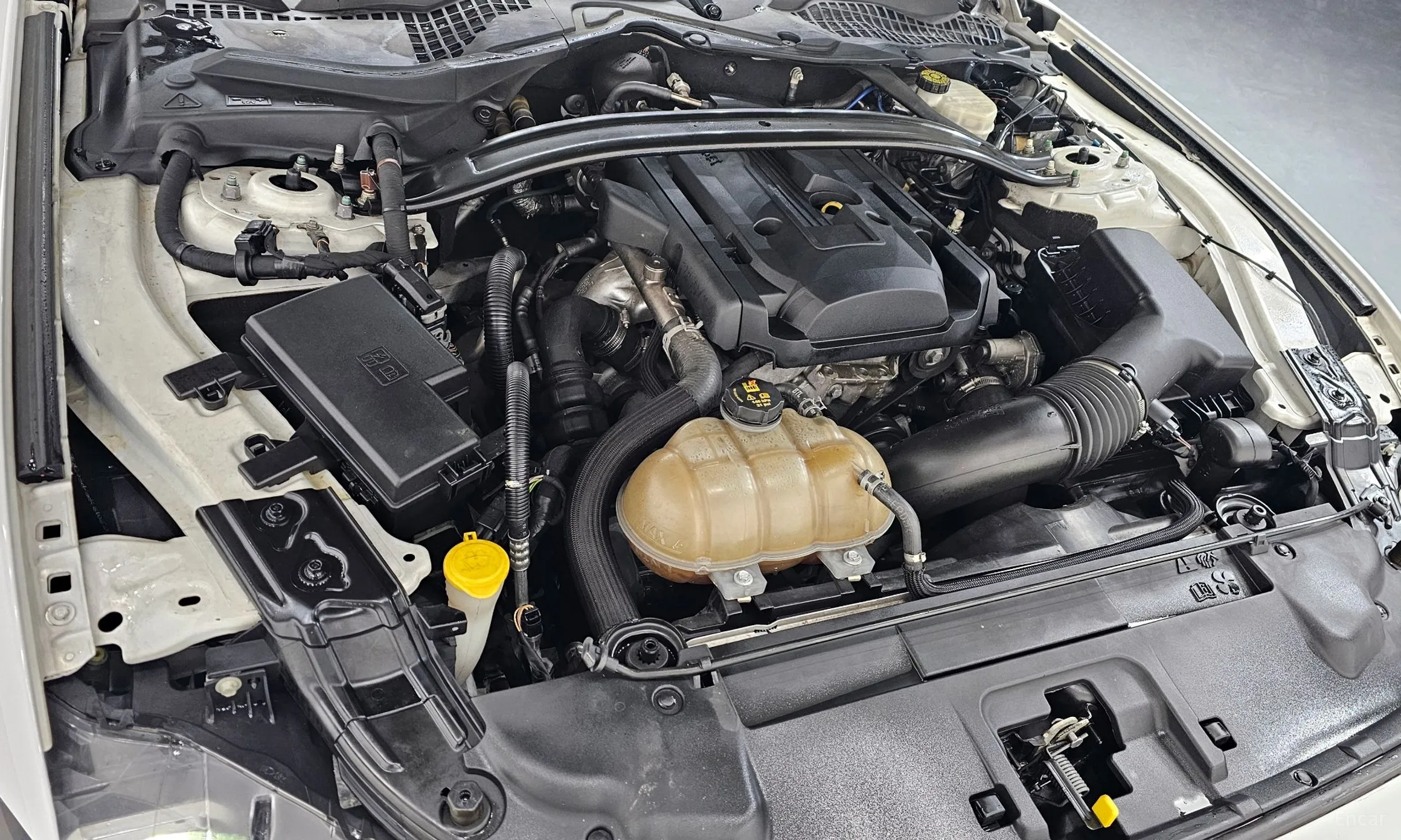 Ford Mustang превью 6