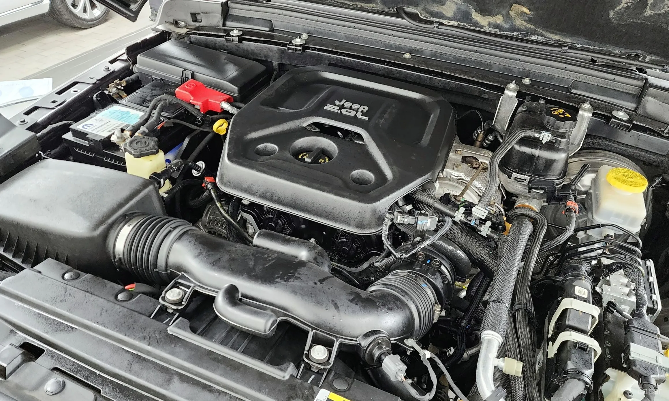 Jeep Wrangler (JL) превью 6