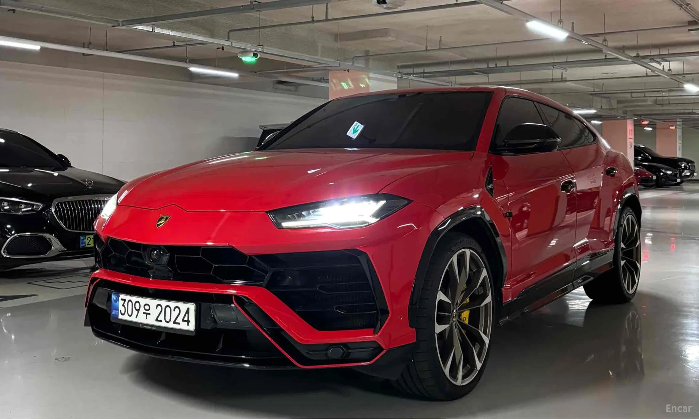 Urus
