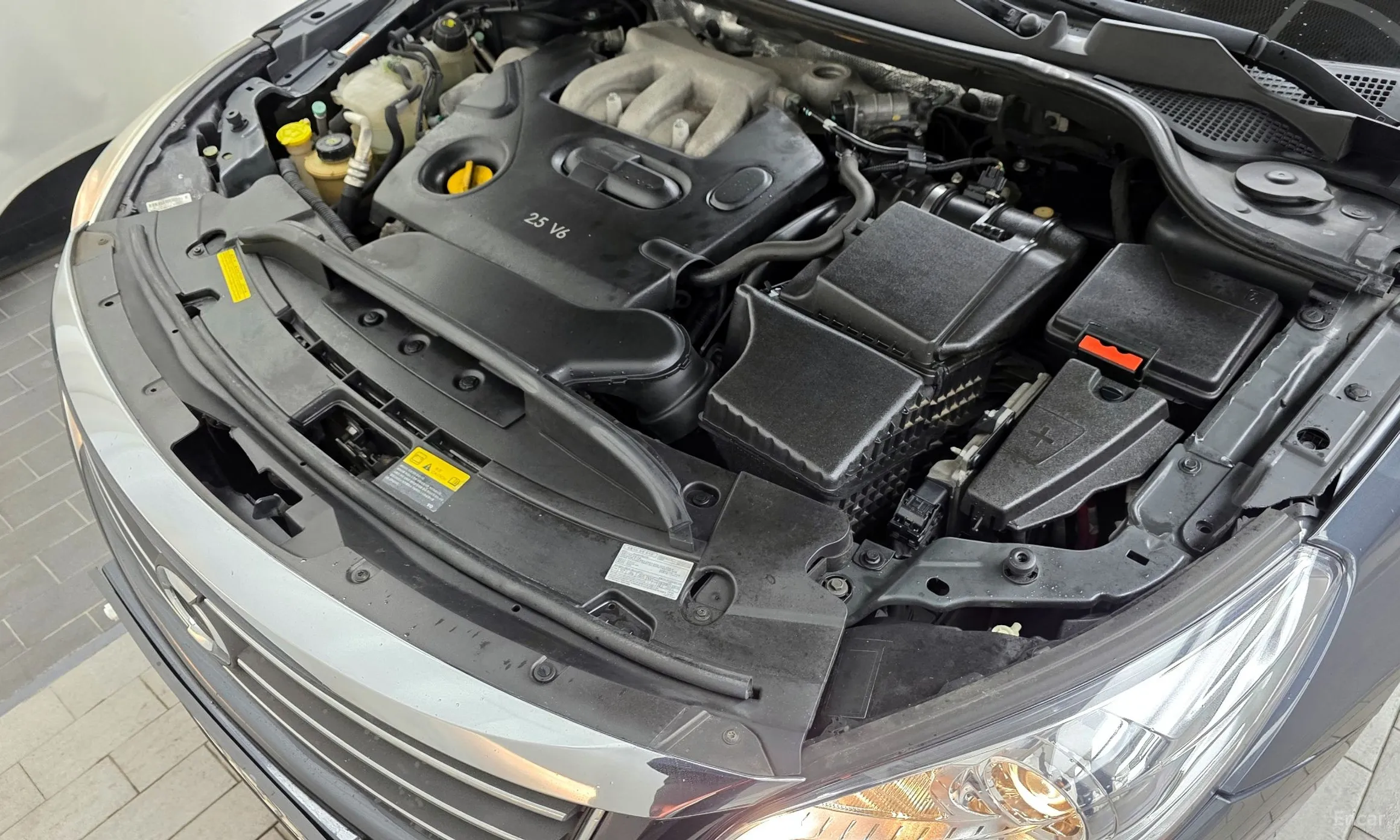 Renault Korea (Samsung) SM7 превью 6