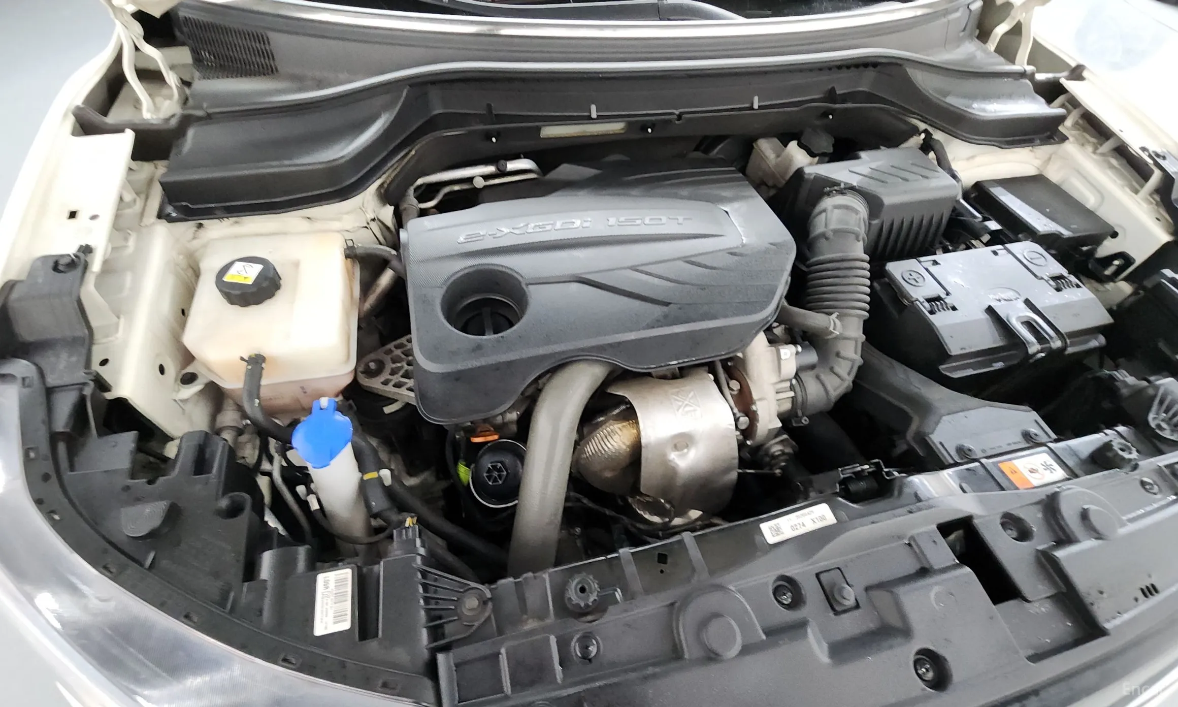 KG Mobility (SsangYong) Berry New Tivoli превью 6