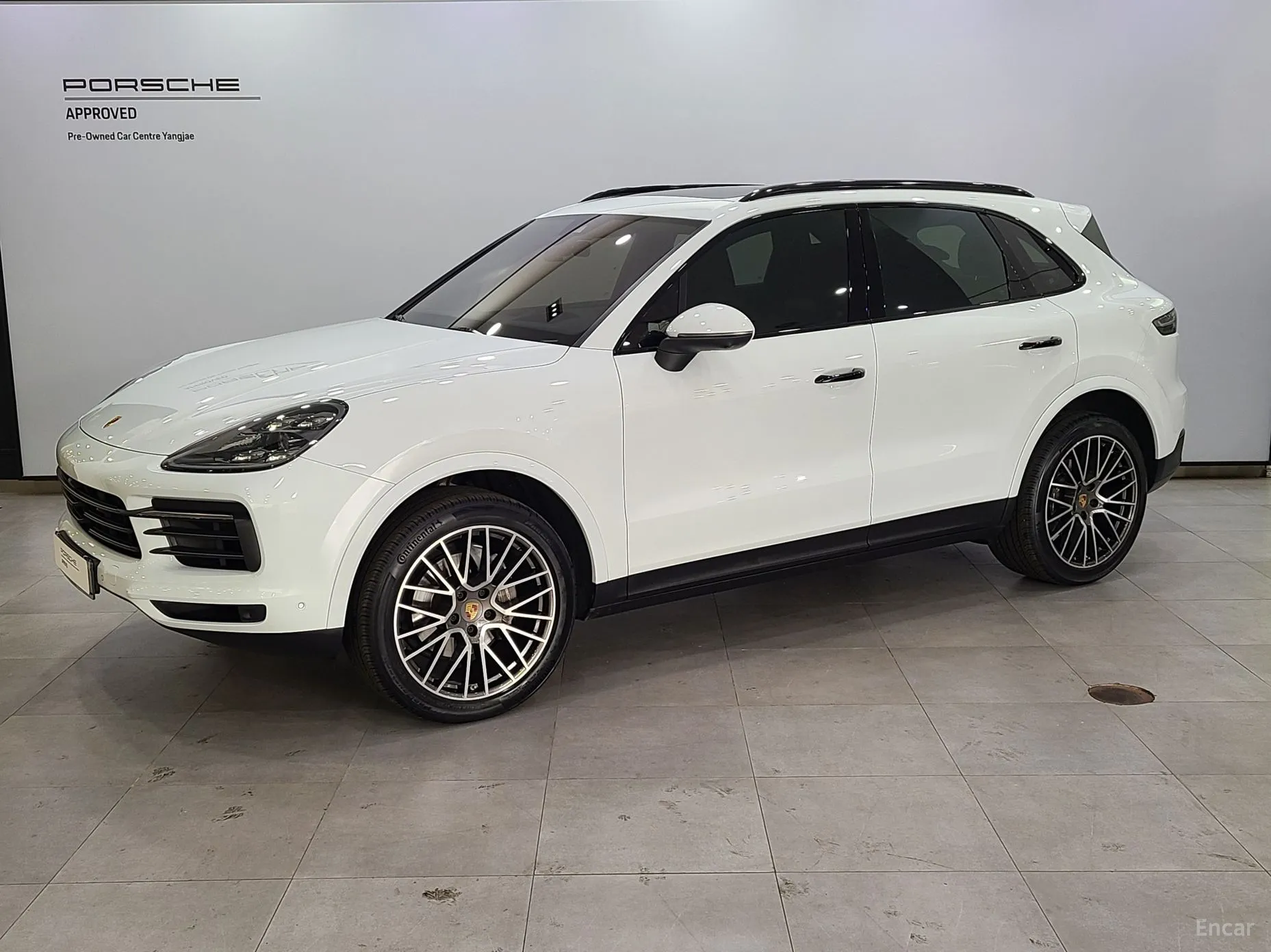 Cayenne (PO536)