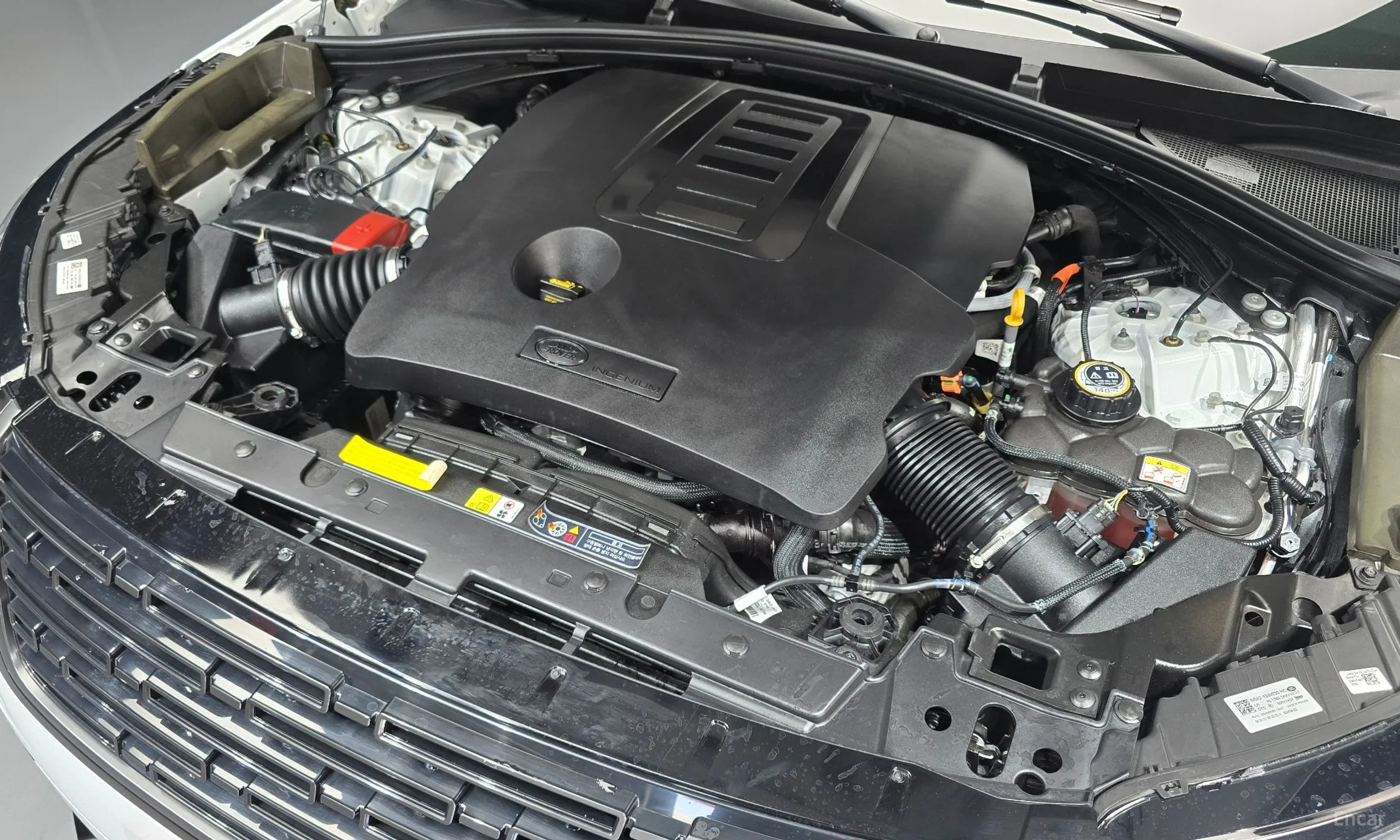 Land Rover Range Rover Bella превью 6