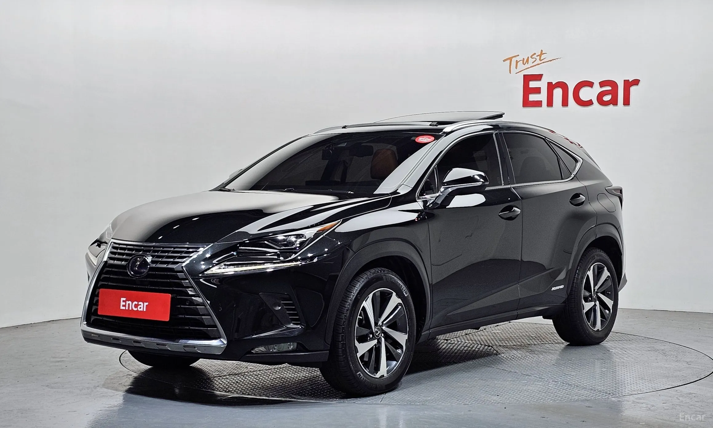 Lexus NX300h