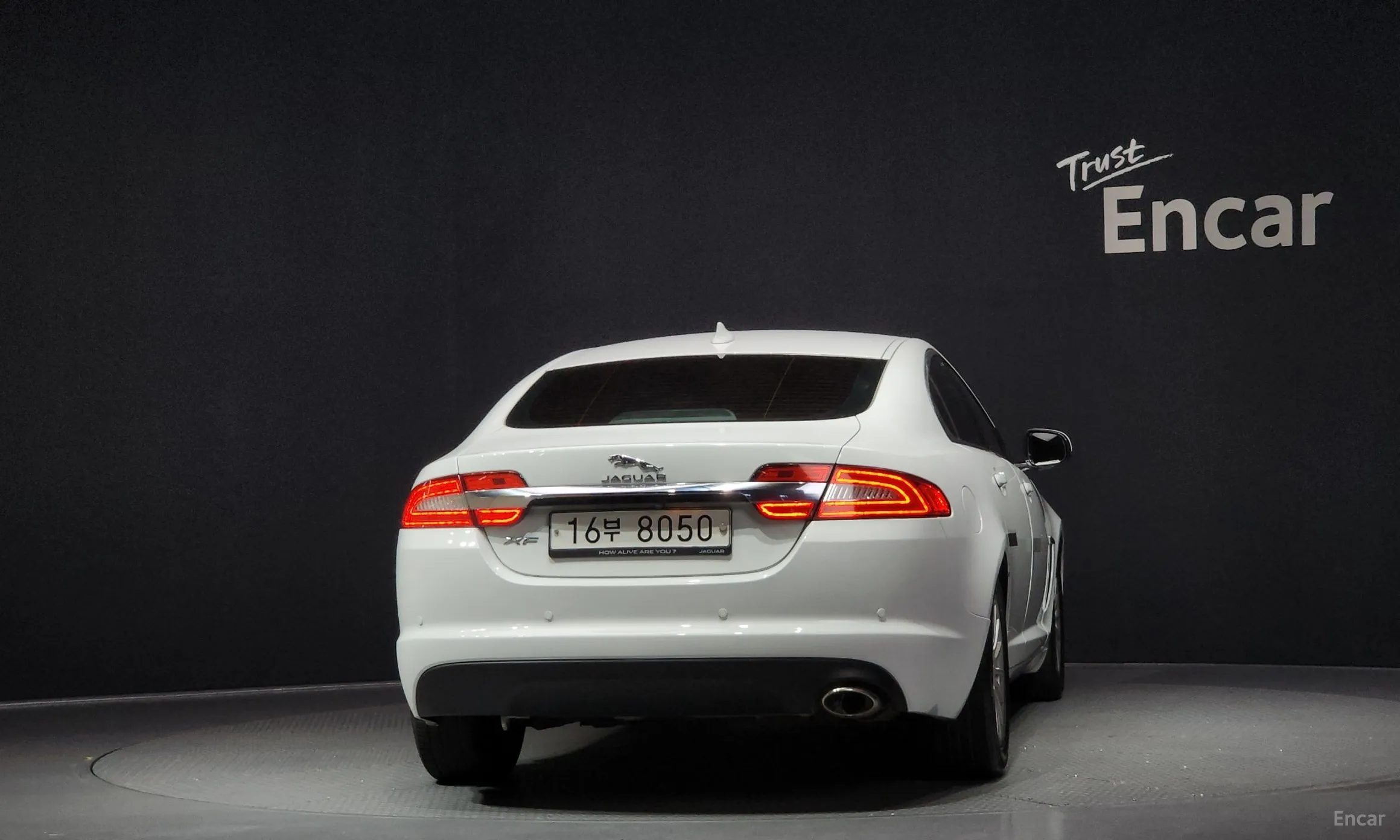Jaguar New XF превью 4