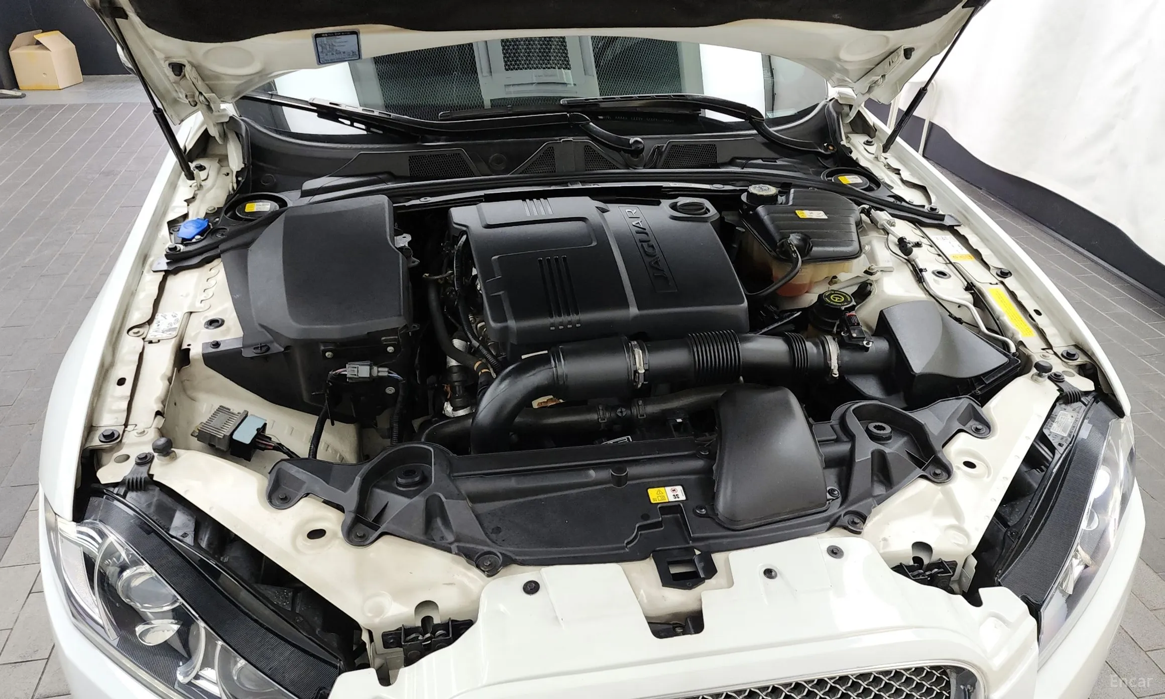 Jaguar New XF превью 6