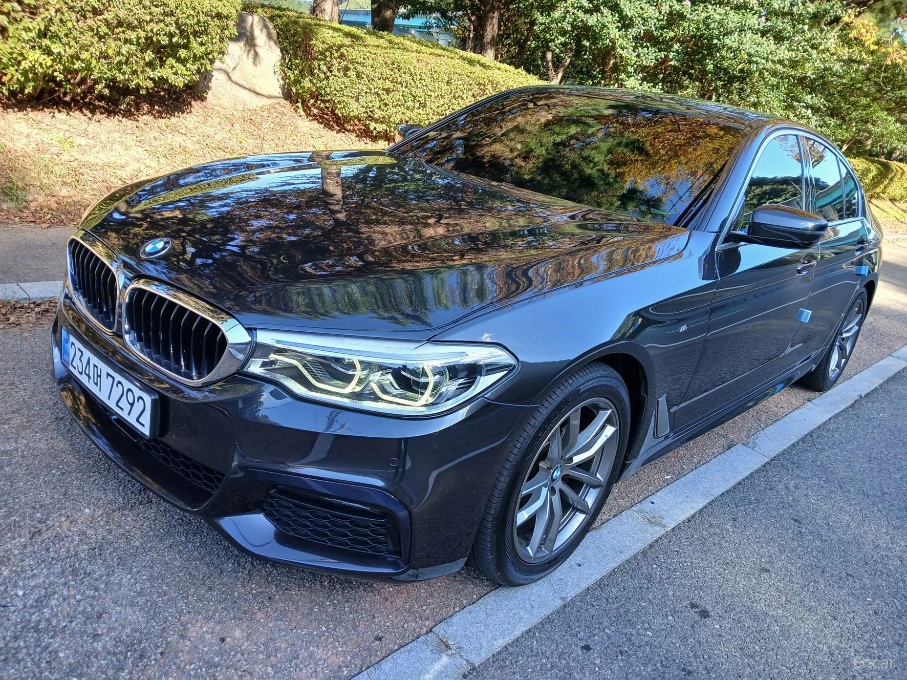 BMW 5 Series (G30) превью 2