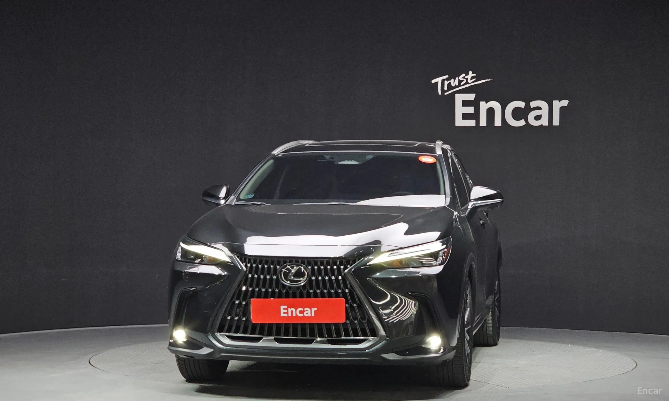 Lexus NX450h + 2nd Gen превью 3