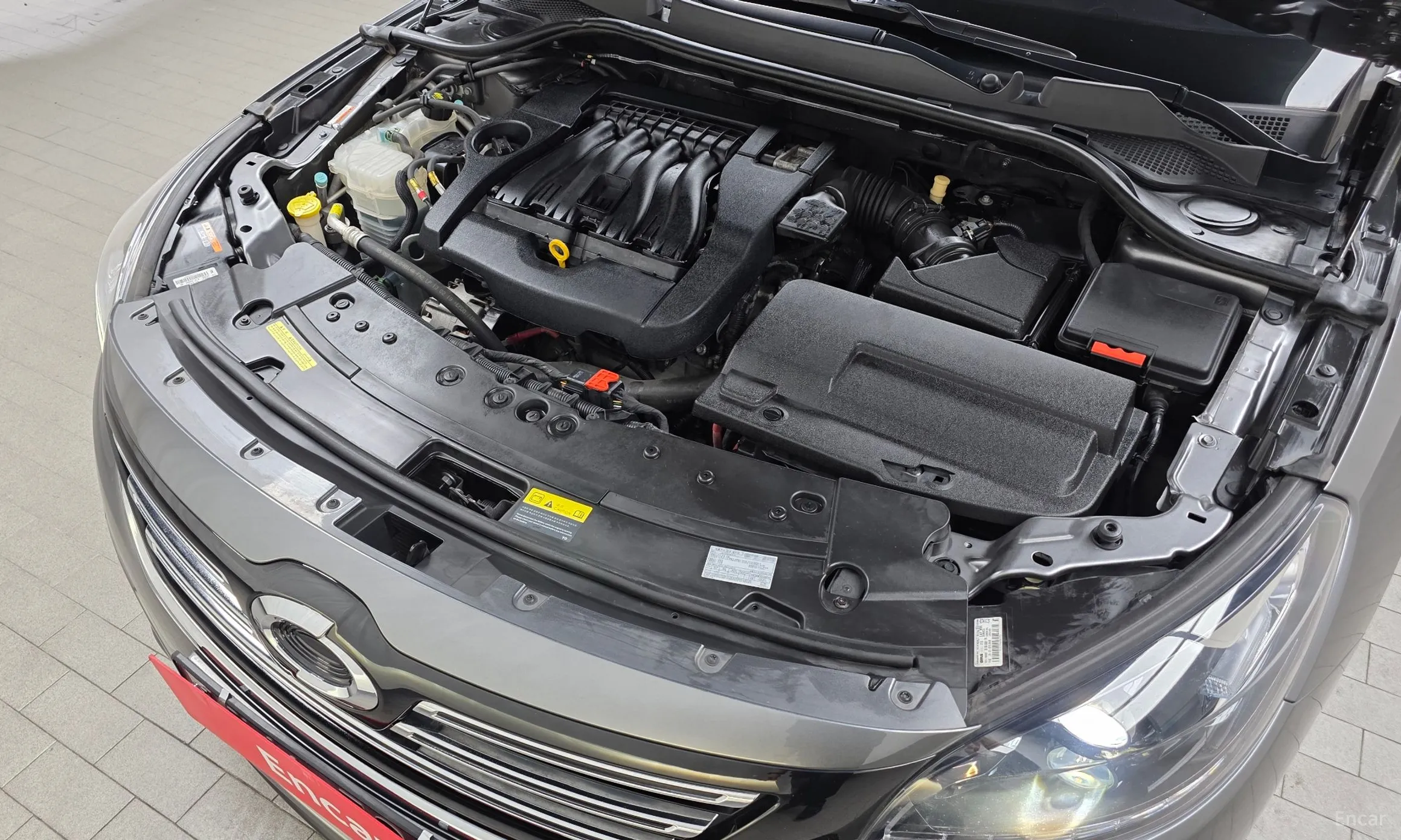 Renault Korea (Samsung) SM7 превью 6