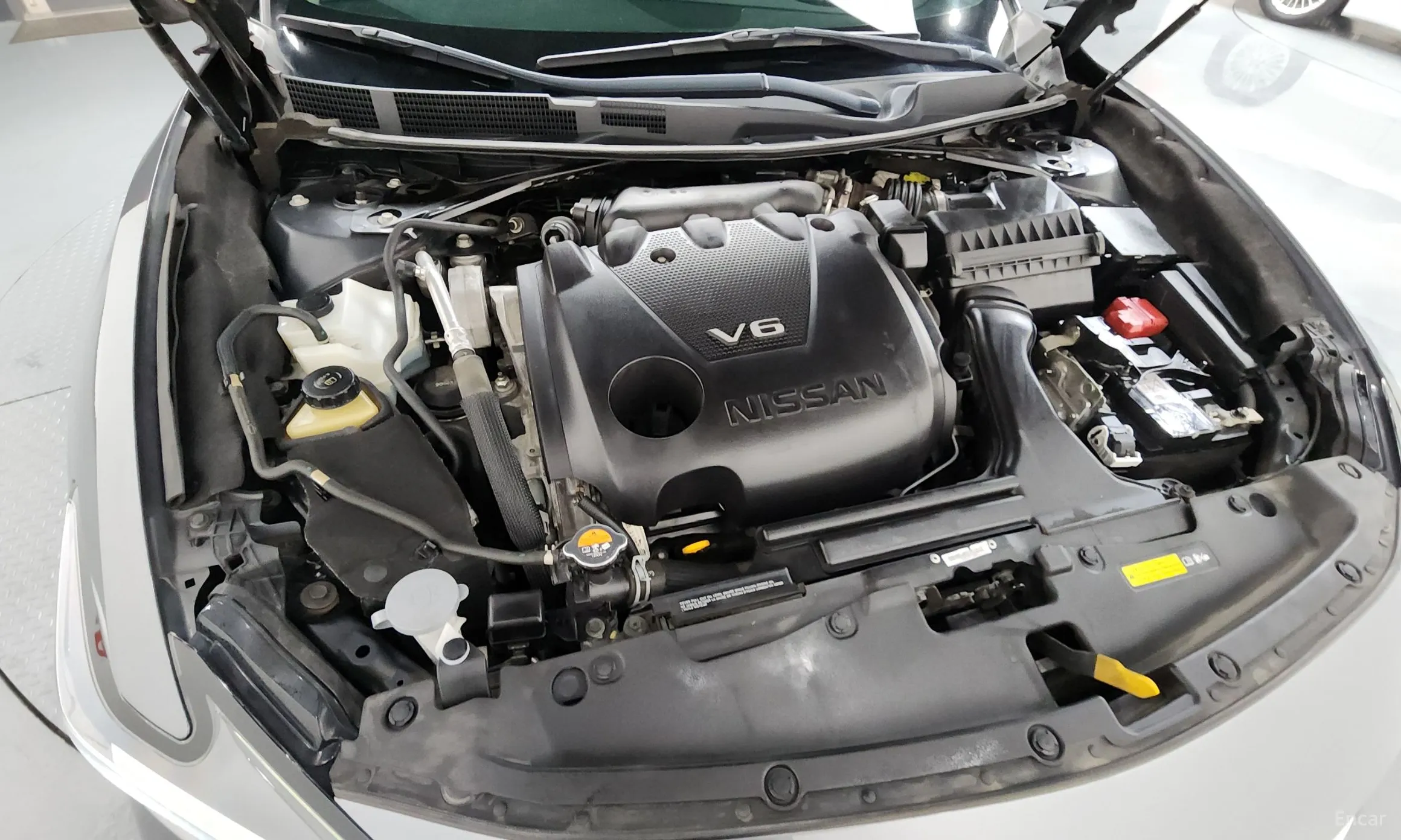 Nissan Maxima (A36) превью 6