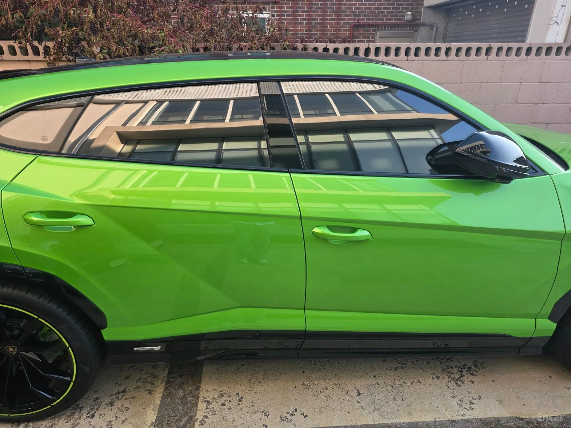 Lamborghini Urus превью 6