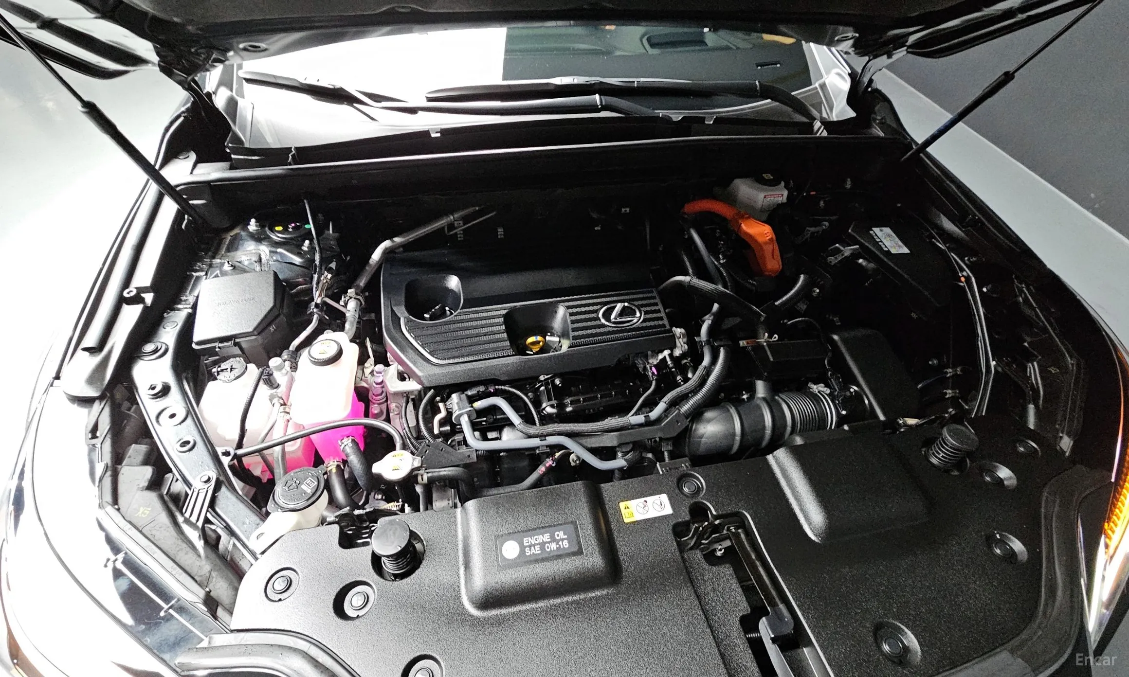 Lexus NX350h Gen 2 превью 6