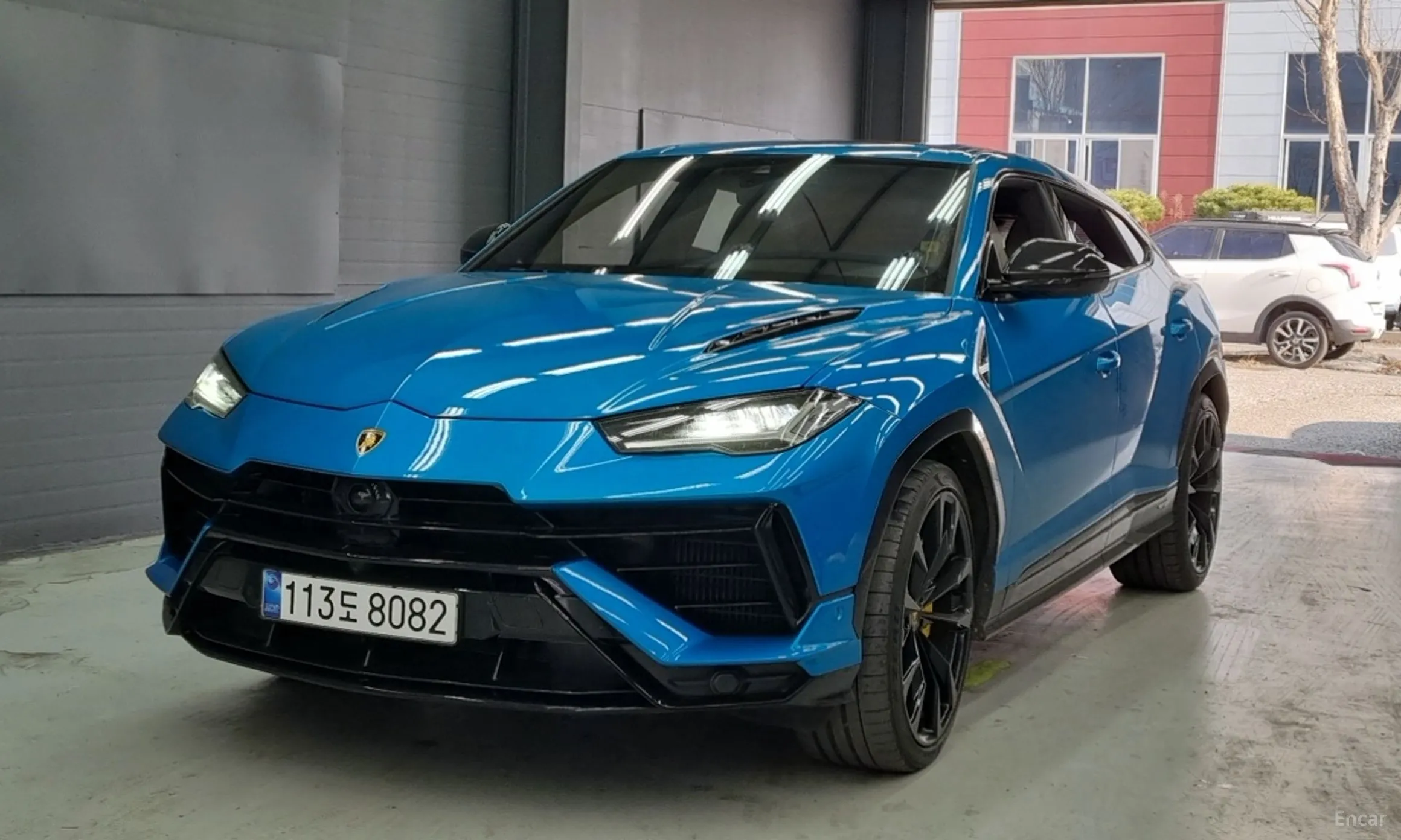 Urus