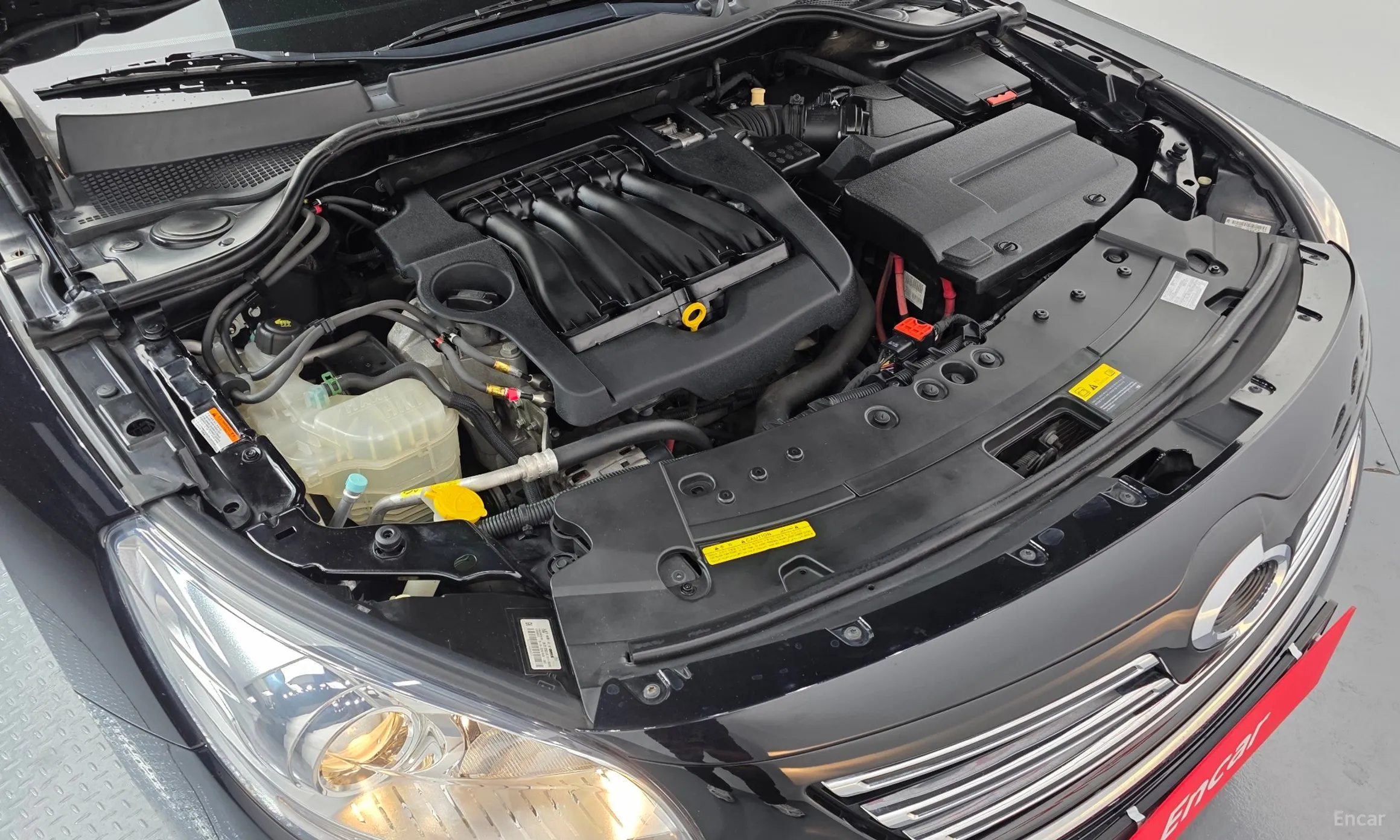 Renault Korea (Samsung) SM7 превью 6