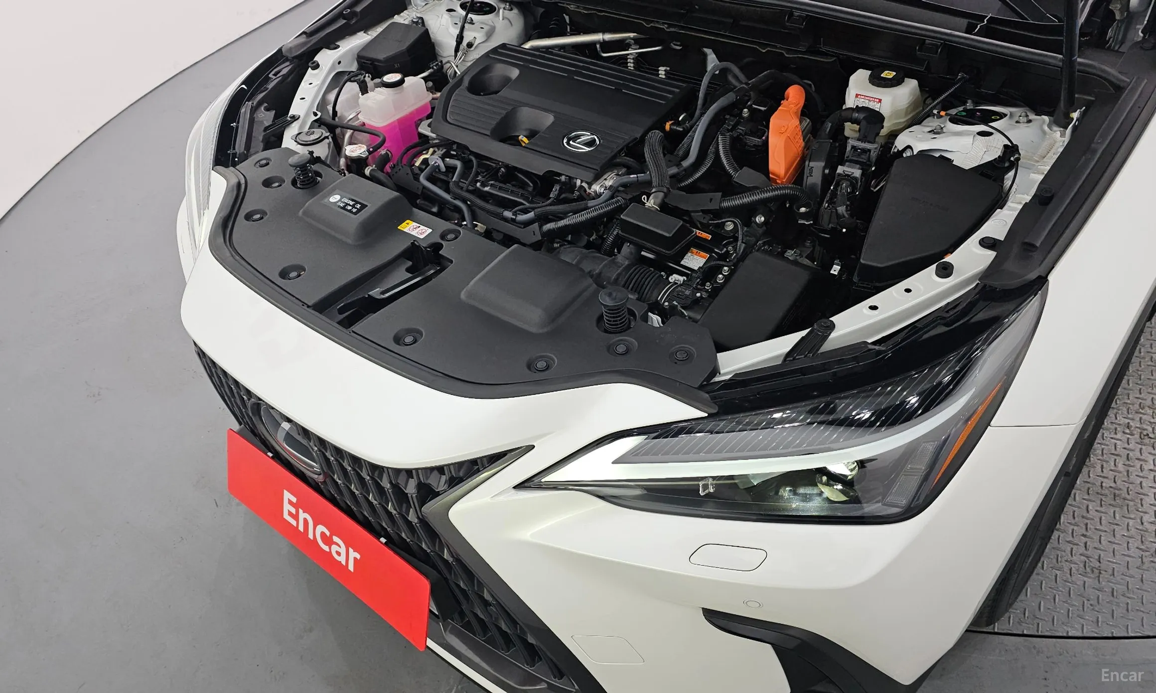 Lexus NX350h Gen 2 превью 6