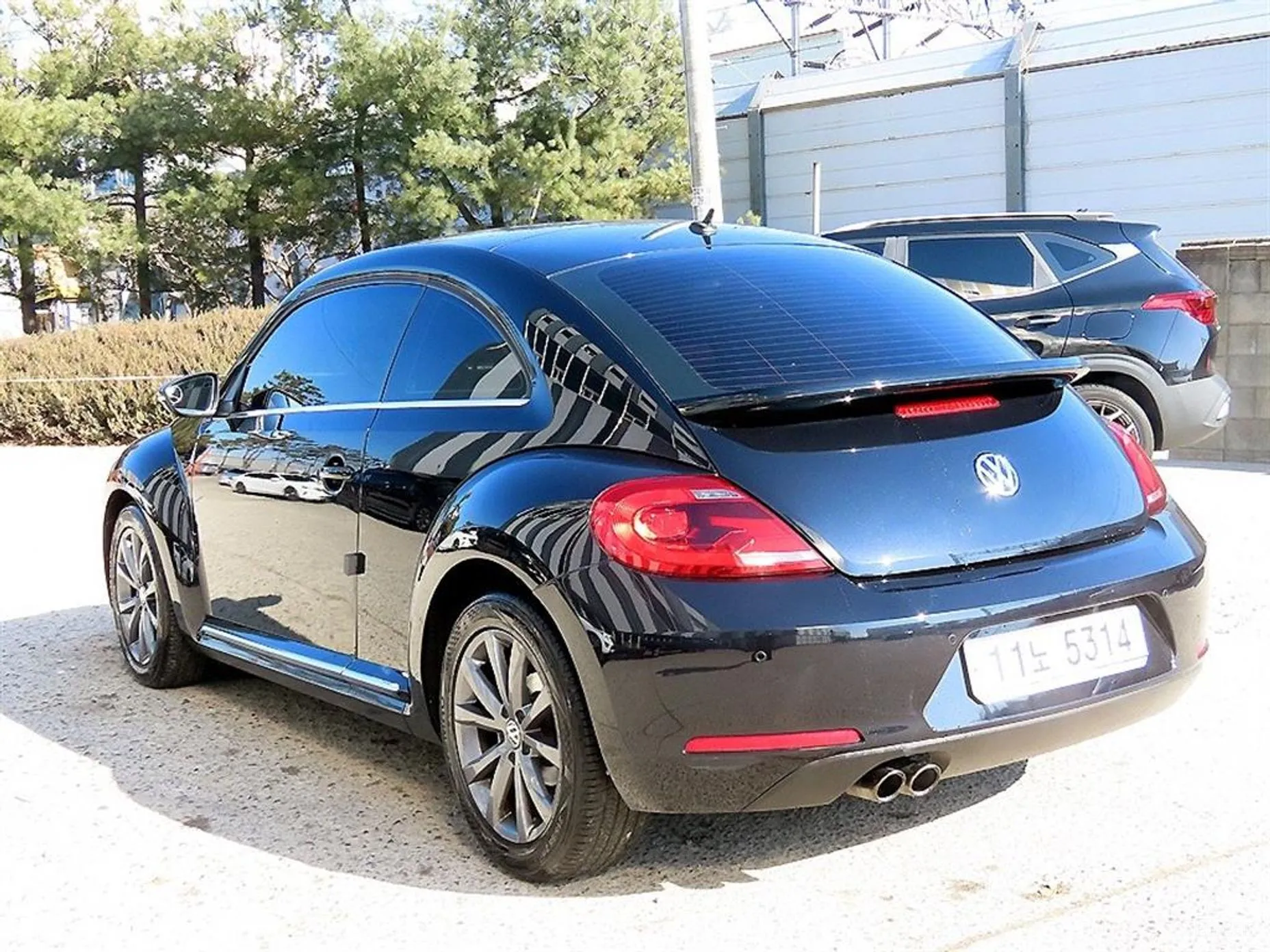 Volkswagen The Beetle