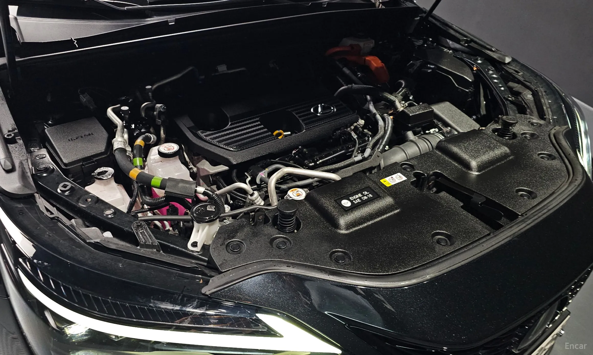 Lexus NX450h + 2nd Gen превью 6