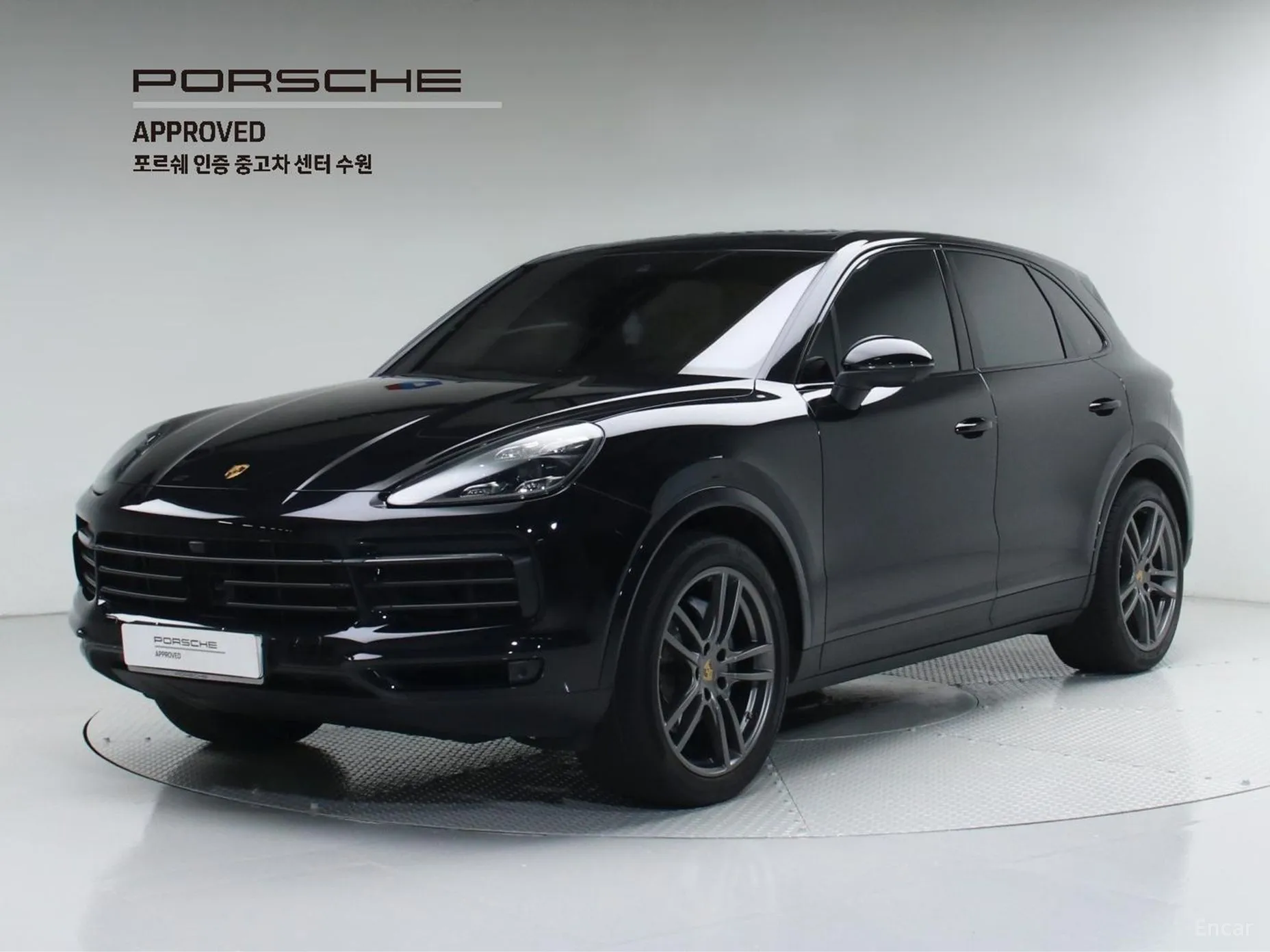 Cayenne (PO536)