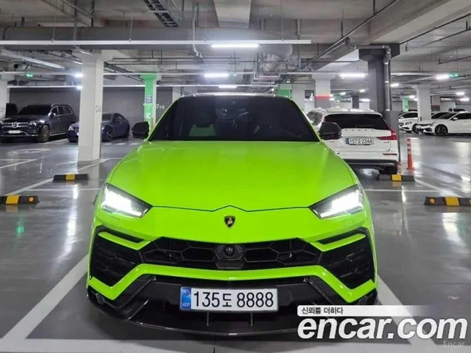 Urus