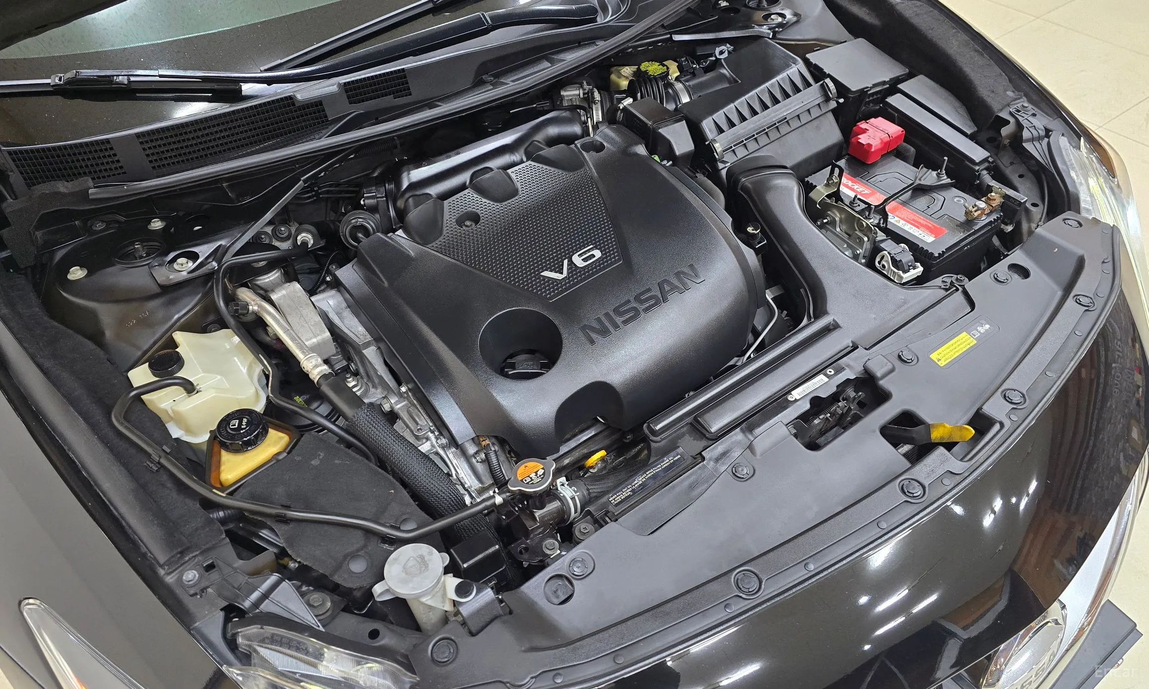 Nissan Maxima (A36) превью 7